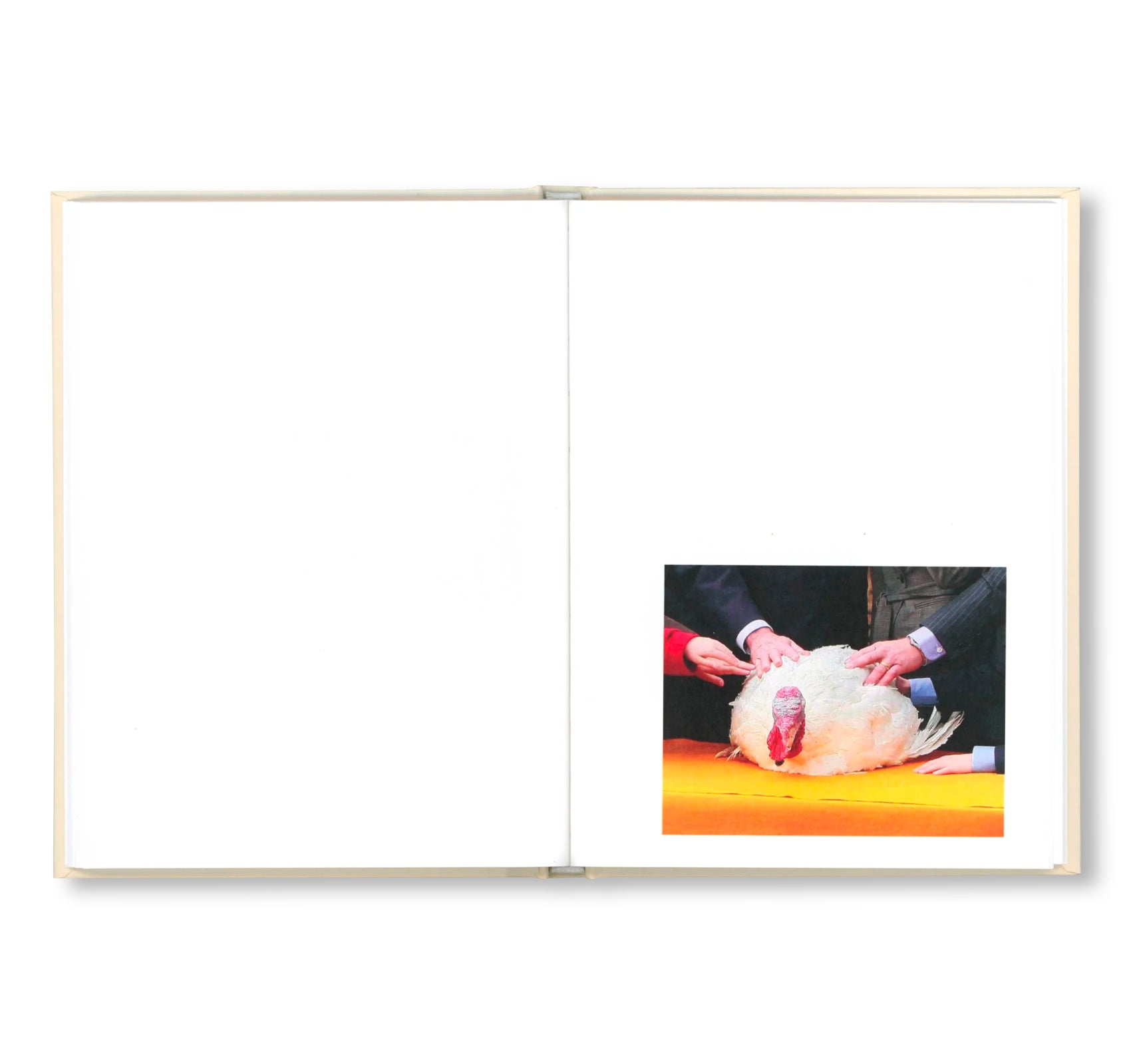 PARDON ME by Gardar Eide Einarsson