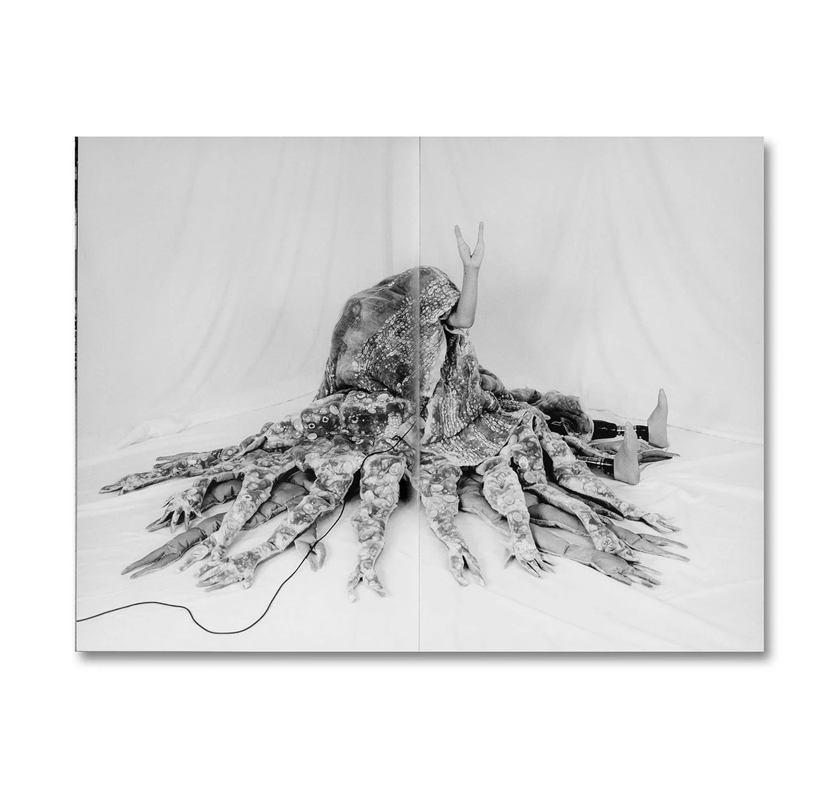 SYNTHESIS by Mari Katayama [SIGNED]