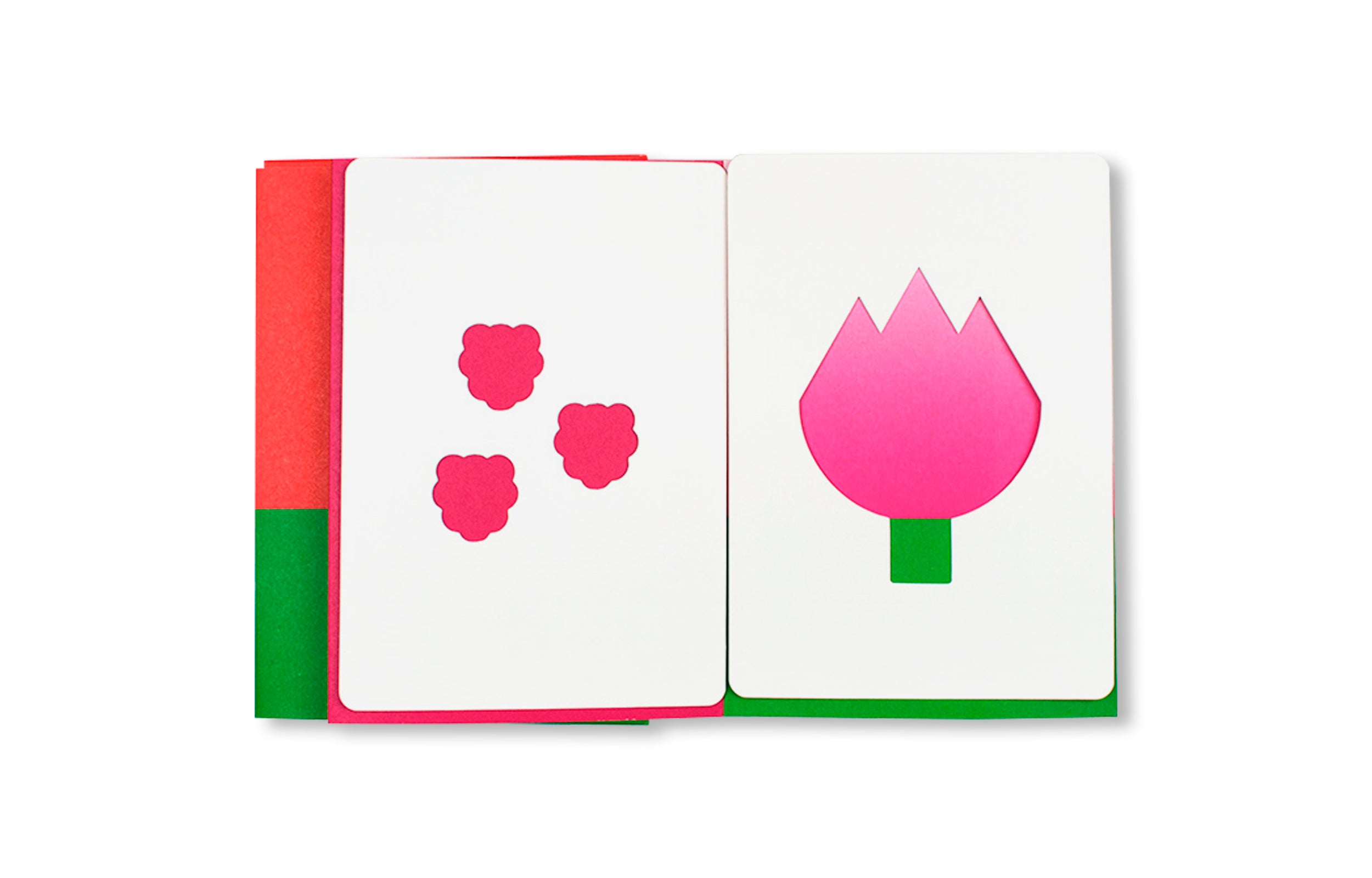 HELLO TOMATO by Marion Caron, Camille Trimardeau [SECOND EDITION]