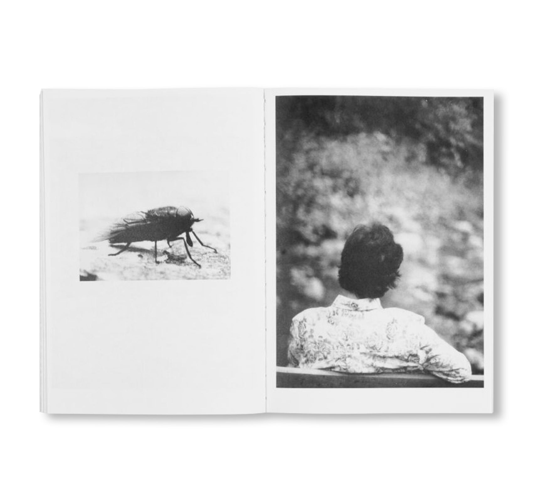 LOCAL ECOLOGY. MOULIN DES RIBES by Jochen Lempert