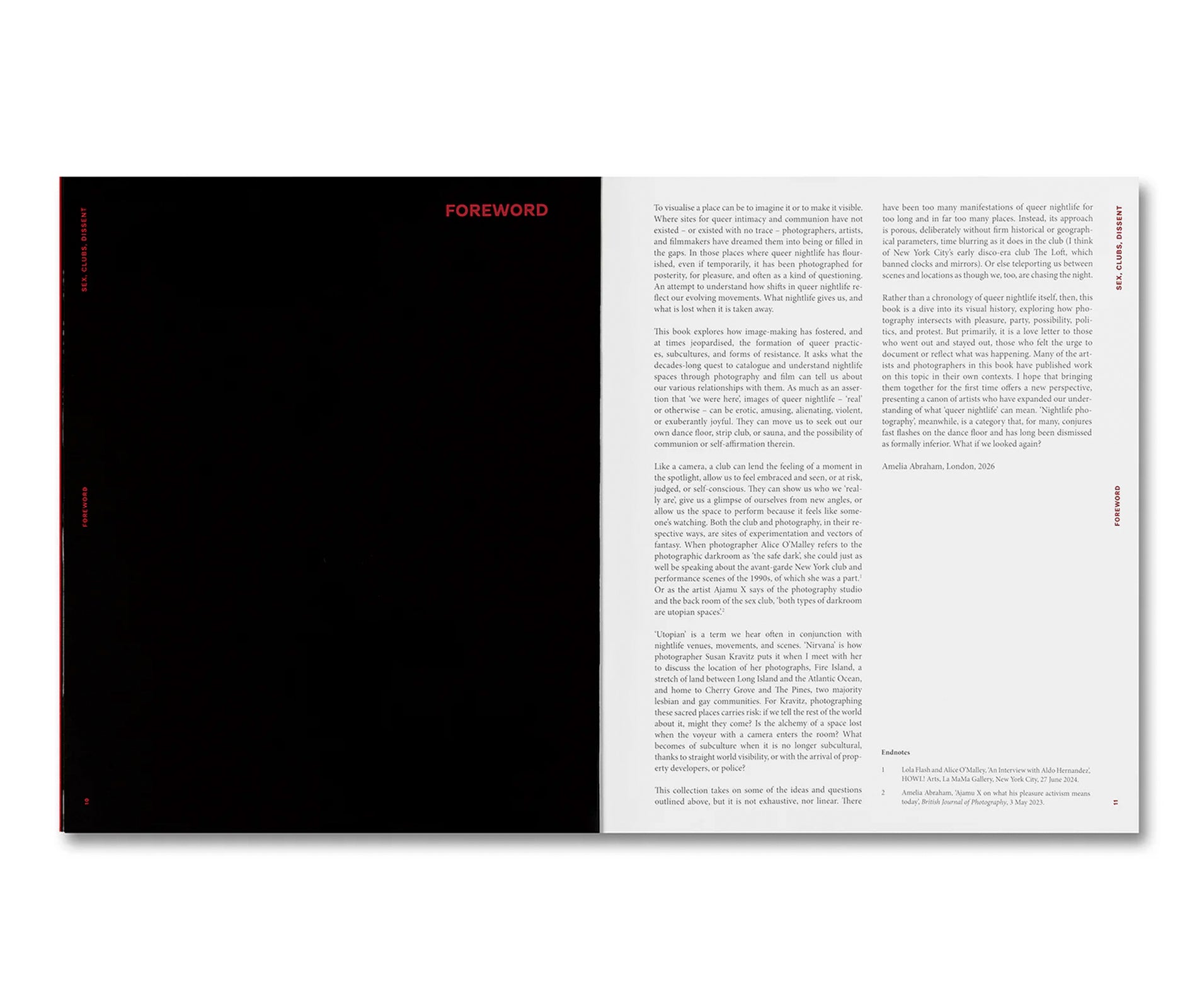 SEX, CLUBS, DISSENT: VISUALISING QUEER NIGHTLIFE by Amelia Abraham
