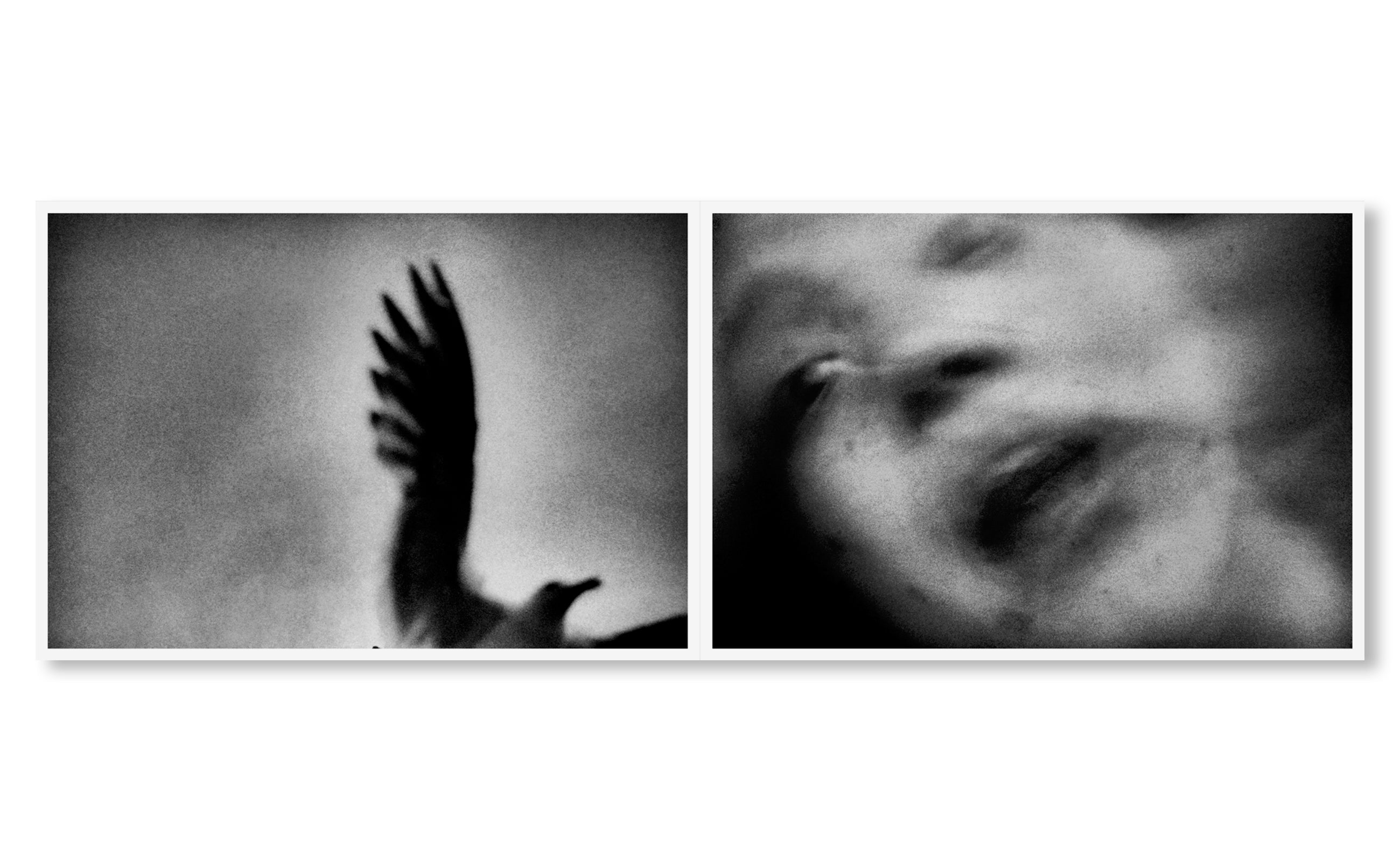 IN THE FLAP OF A BIRD'S WING, WATER DRIES UP by Eriko Masaoka