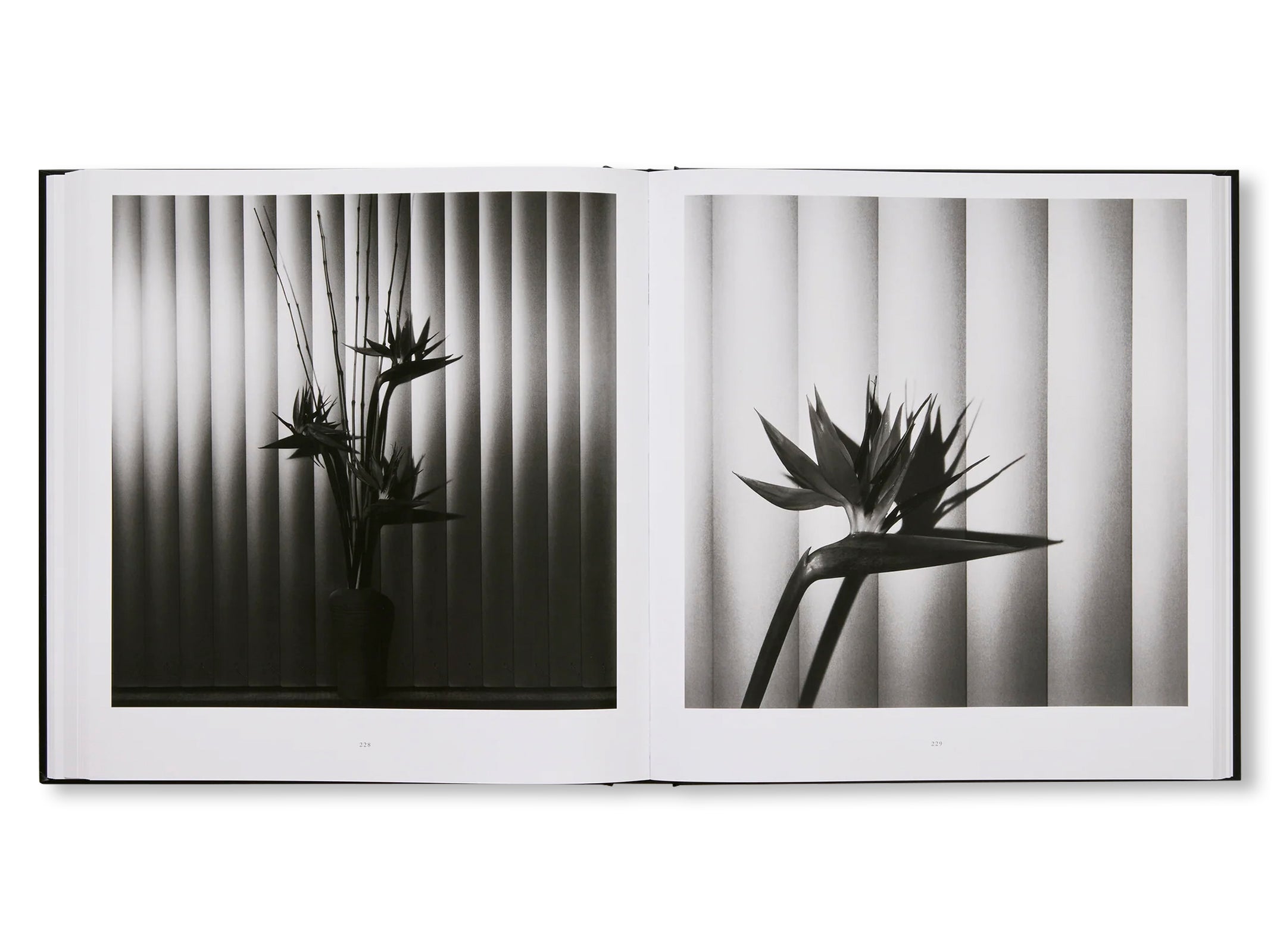 MAPPLETHORPE FLORA: THE COMPLETE FLOWERS by Robert Mapplethorpe [NEW EDITION]