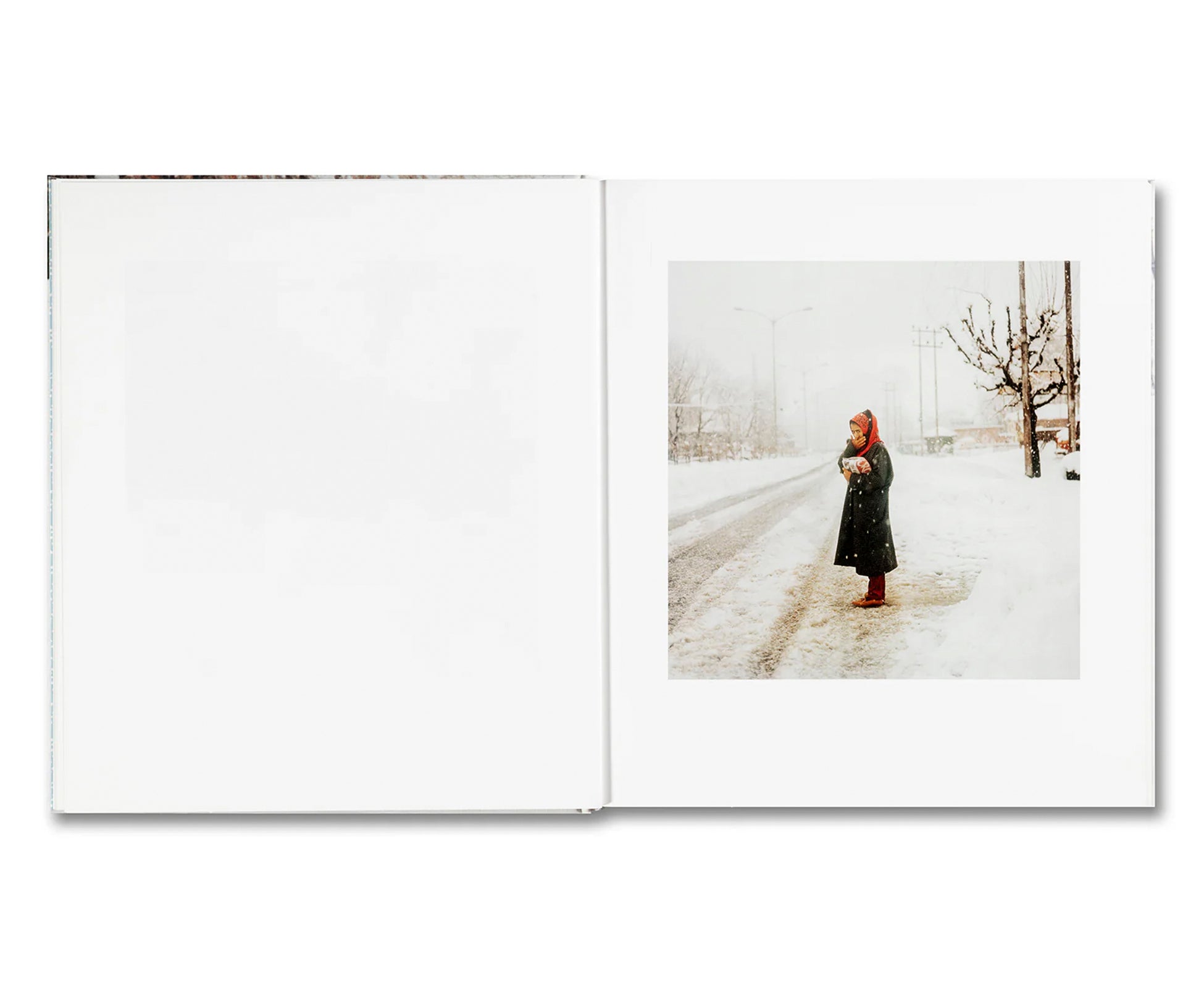 SNOW by Sohrab Hura