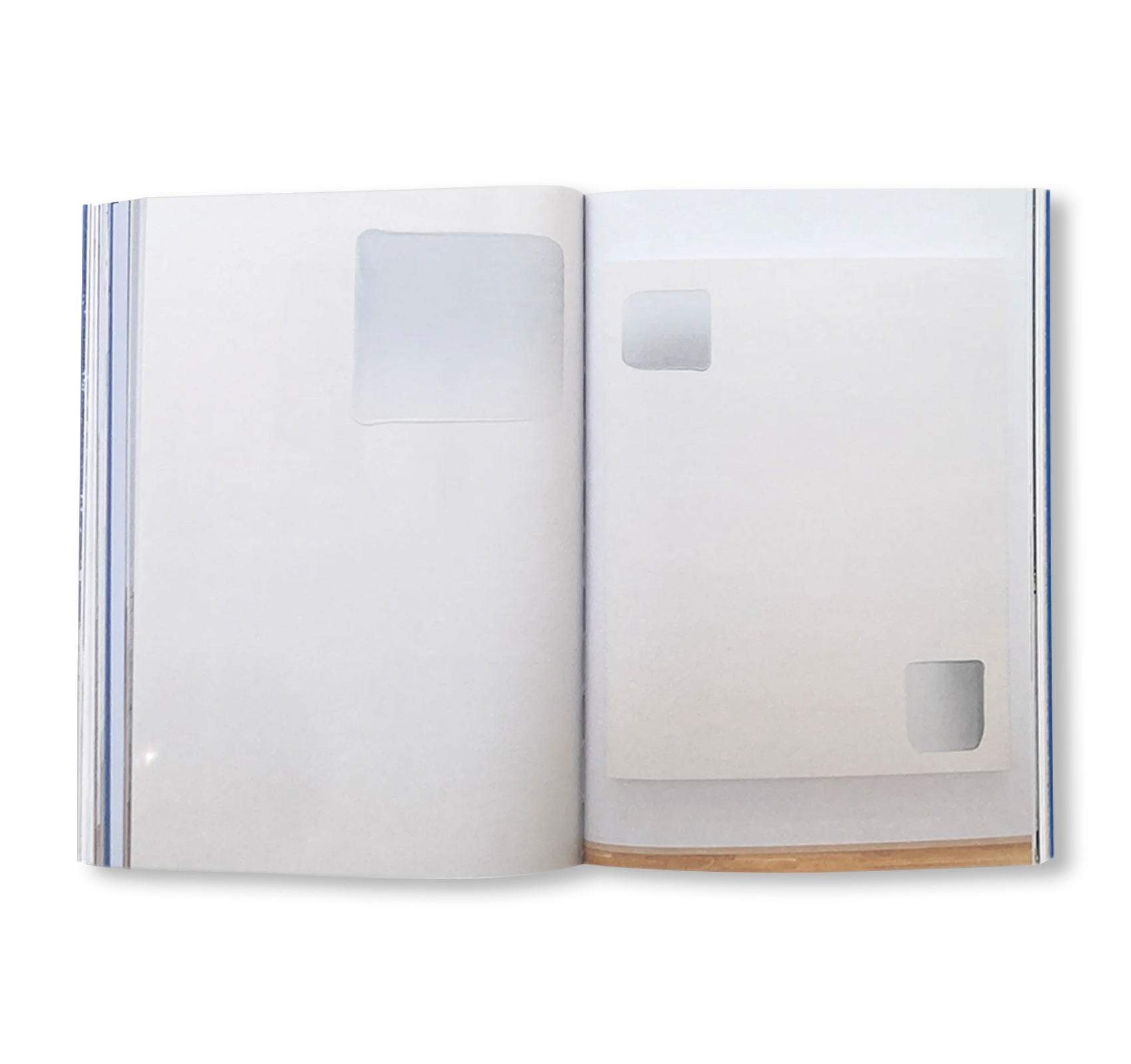 LEE UFAN by Lee Ufan (SILVANA EDITORIALE)