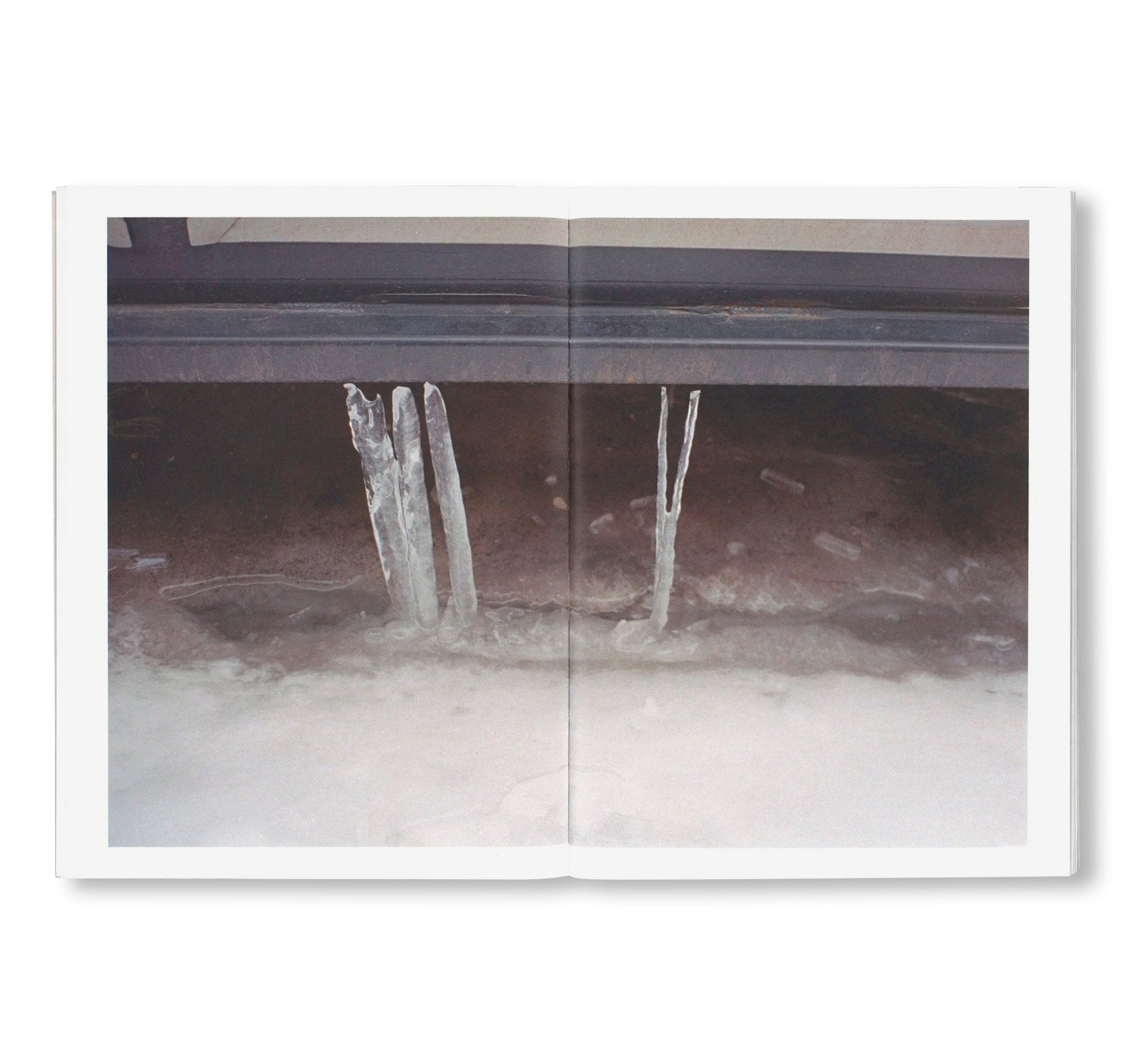 WINTER by Todd Fisher