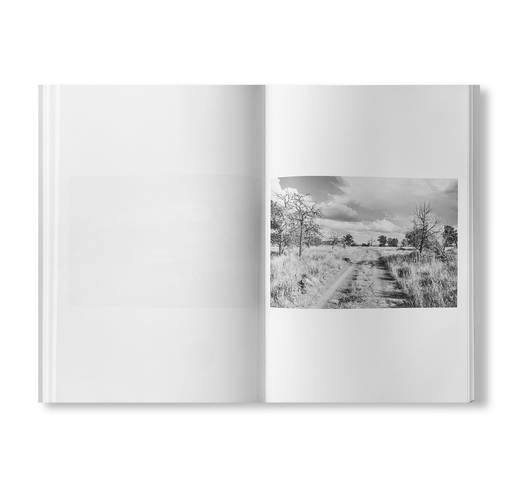 ROAD by Christopher Wool [SIGNED]