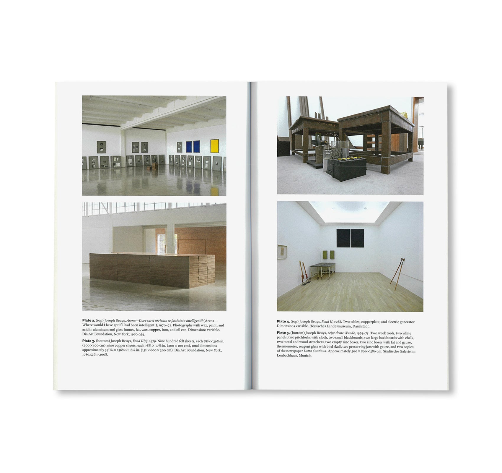 JOSEPH BEUYS AND HISTORY by Joseph Beuys