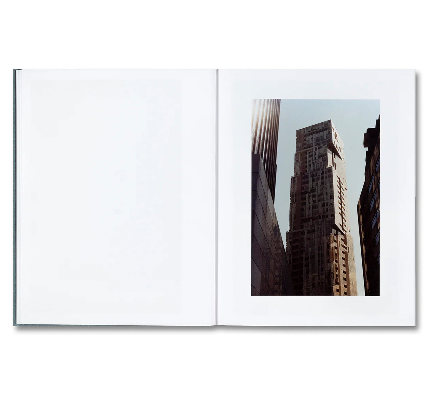 DISTRIBUTION by Daniel Shea [SIGNED]