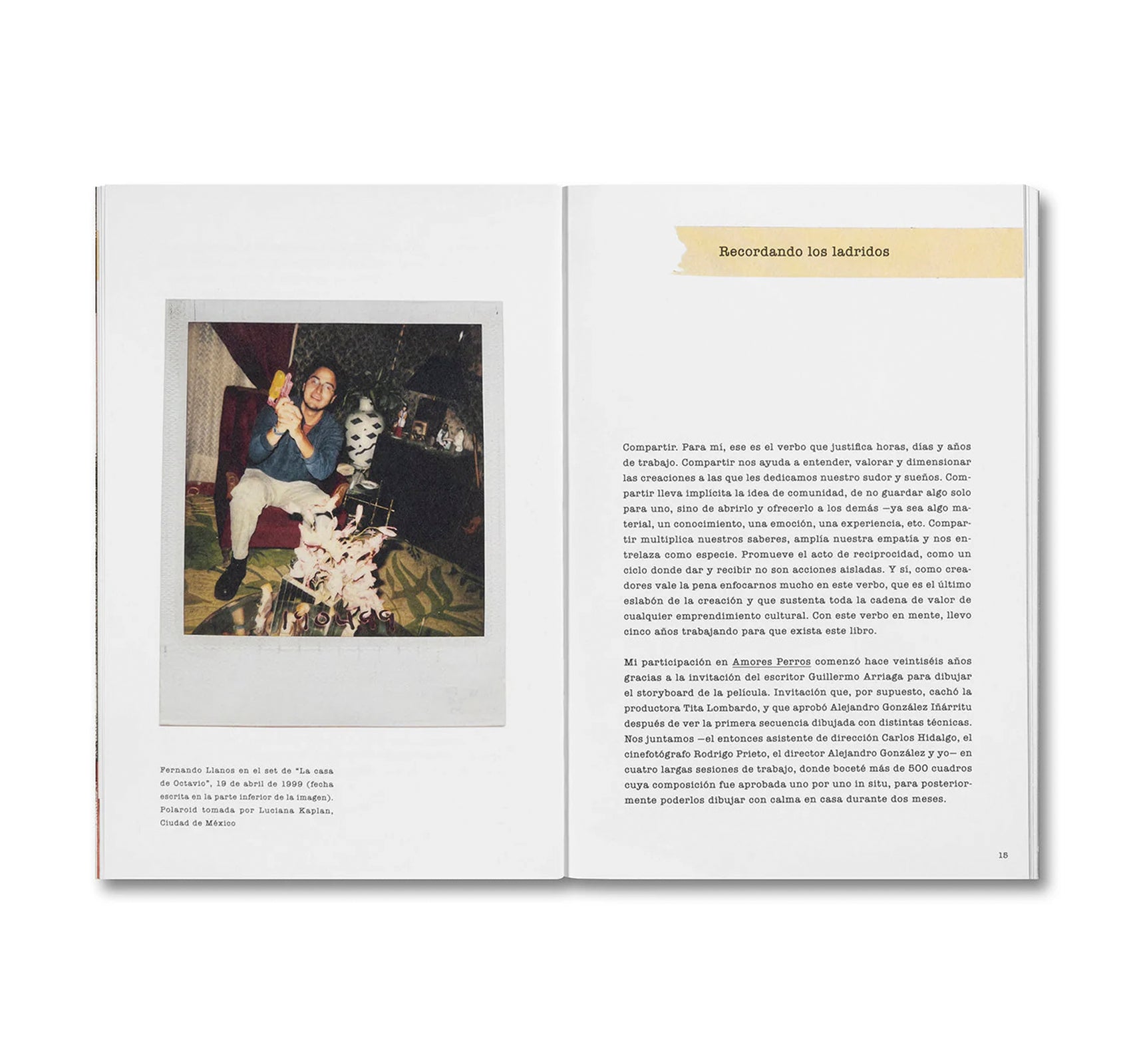 DESATAR AMORES PERROS by Fernando Llanos [SPANISH EDITION]