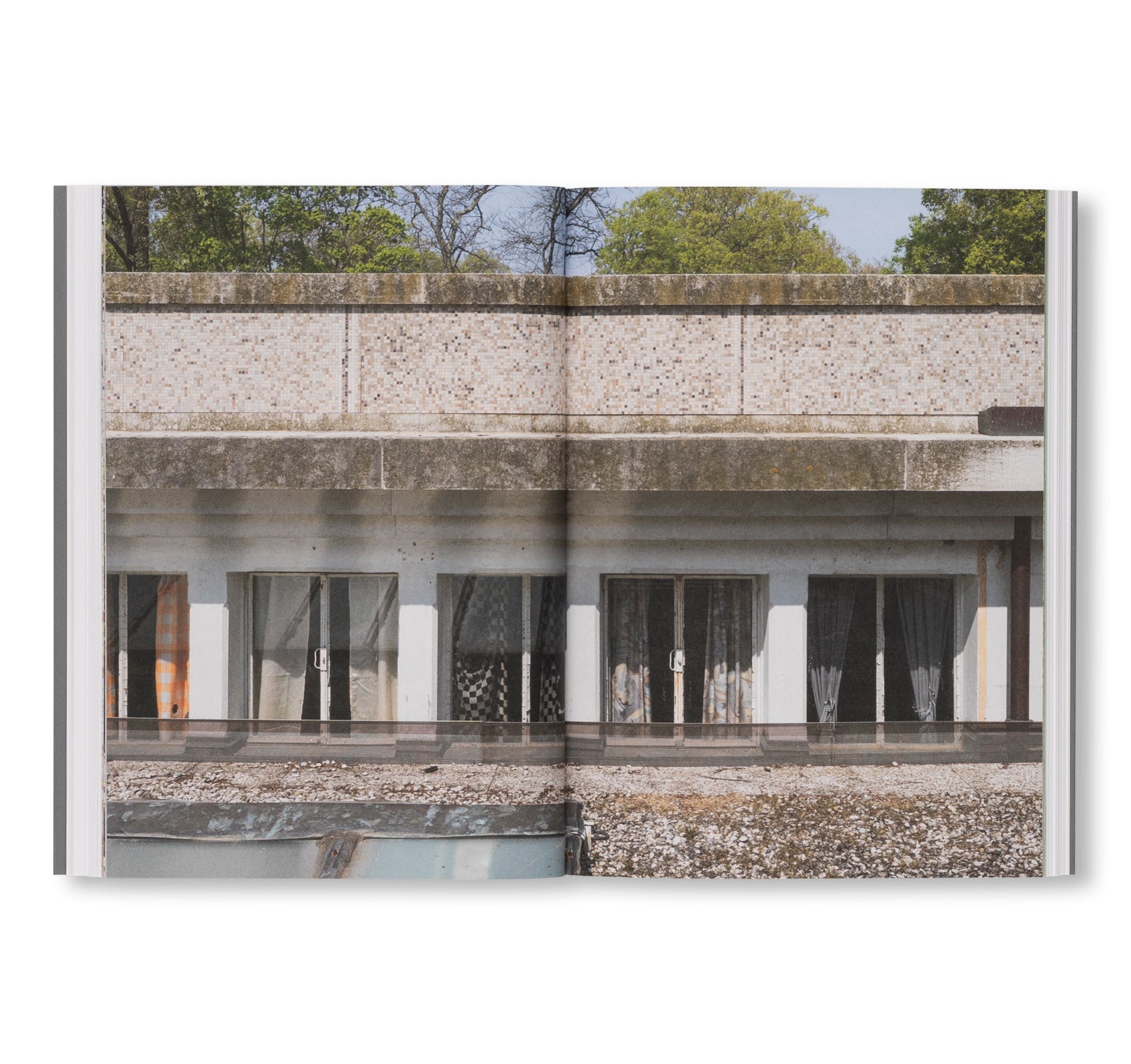 THE RUIN. THE GERMAN CONTRIBUTION TO THE 61ST VENICE BIENNALE by Henrike Naumann, Sung Tieu