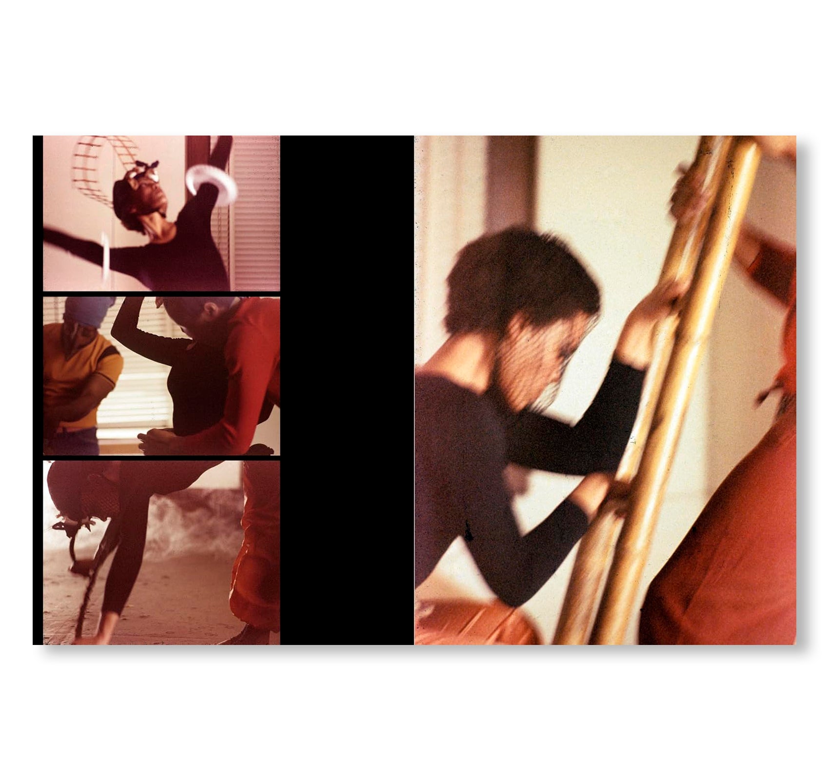 MAREN HASSINGER: LIVING MOVING GROWING by Maren Hassinger