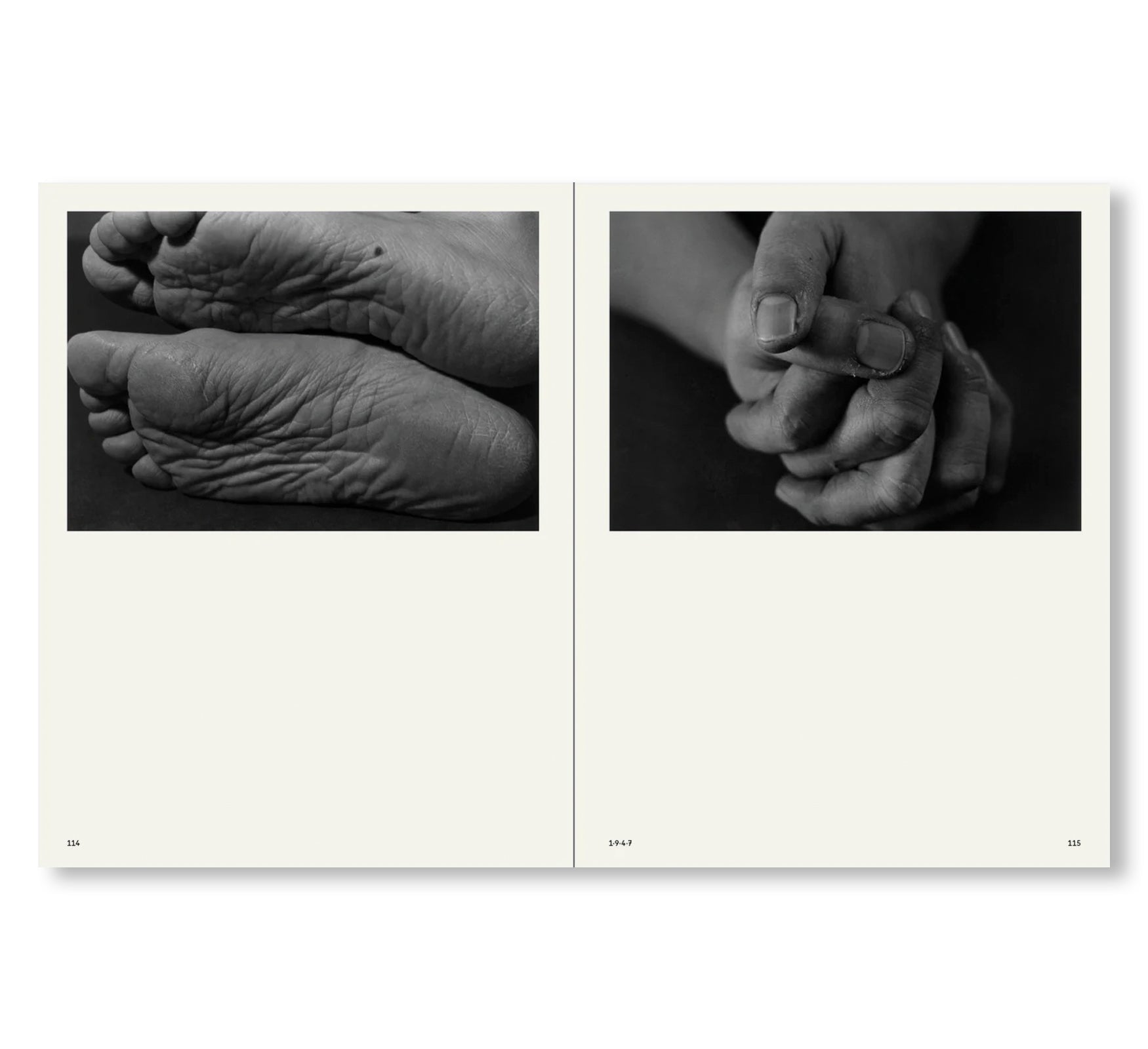 TRACES by Miyako Ishiuchi