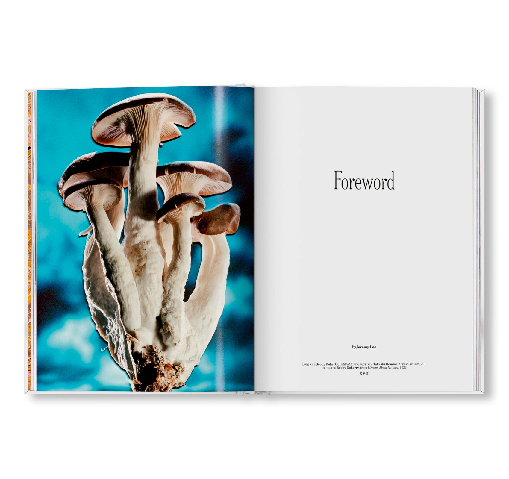THE GOURMAND'S MUSHROOM. A COLLECTION OF STORIES AND RECIPES by The Gourmand