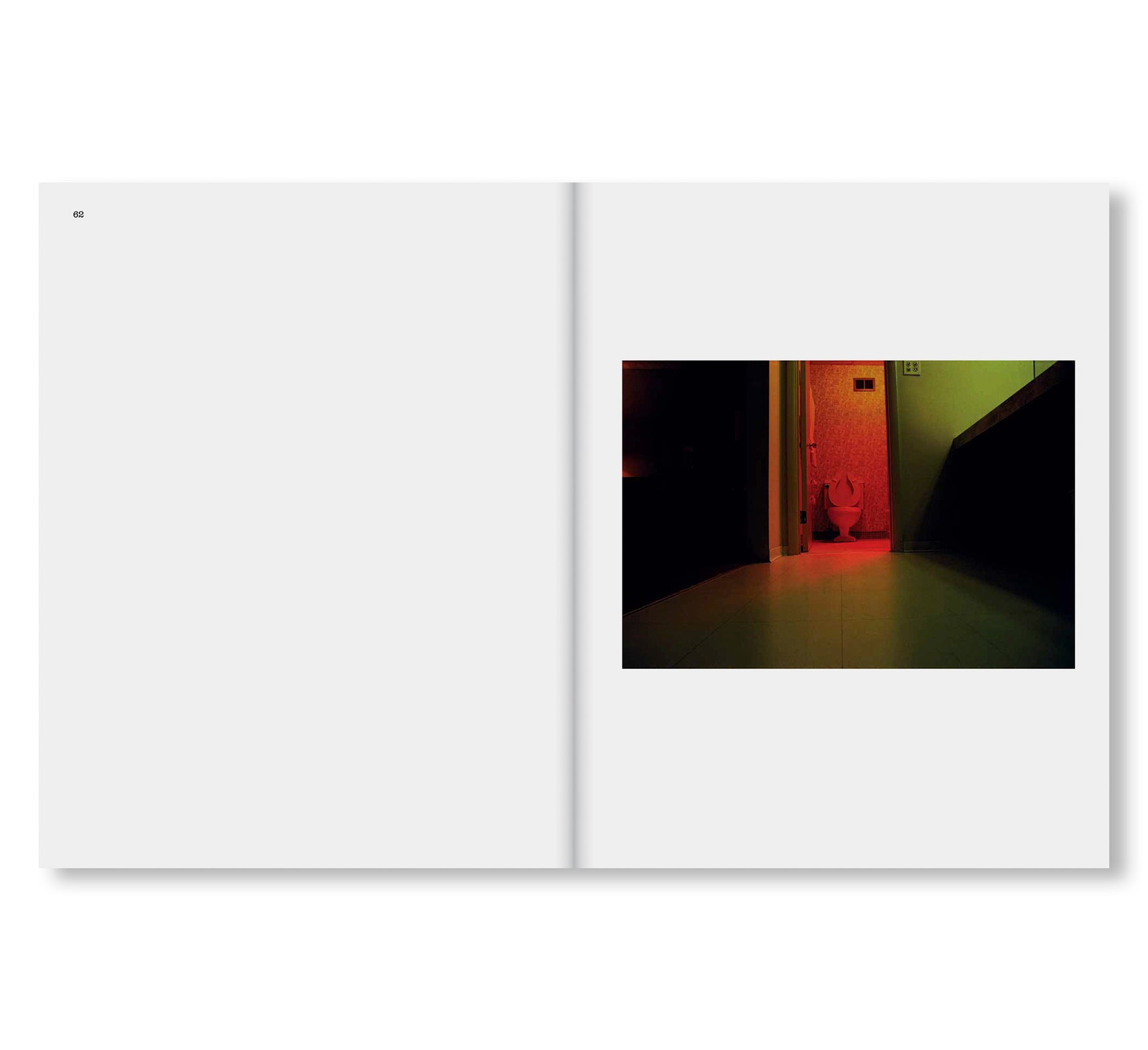 THE LAST DAYS by William Eggleston