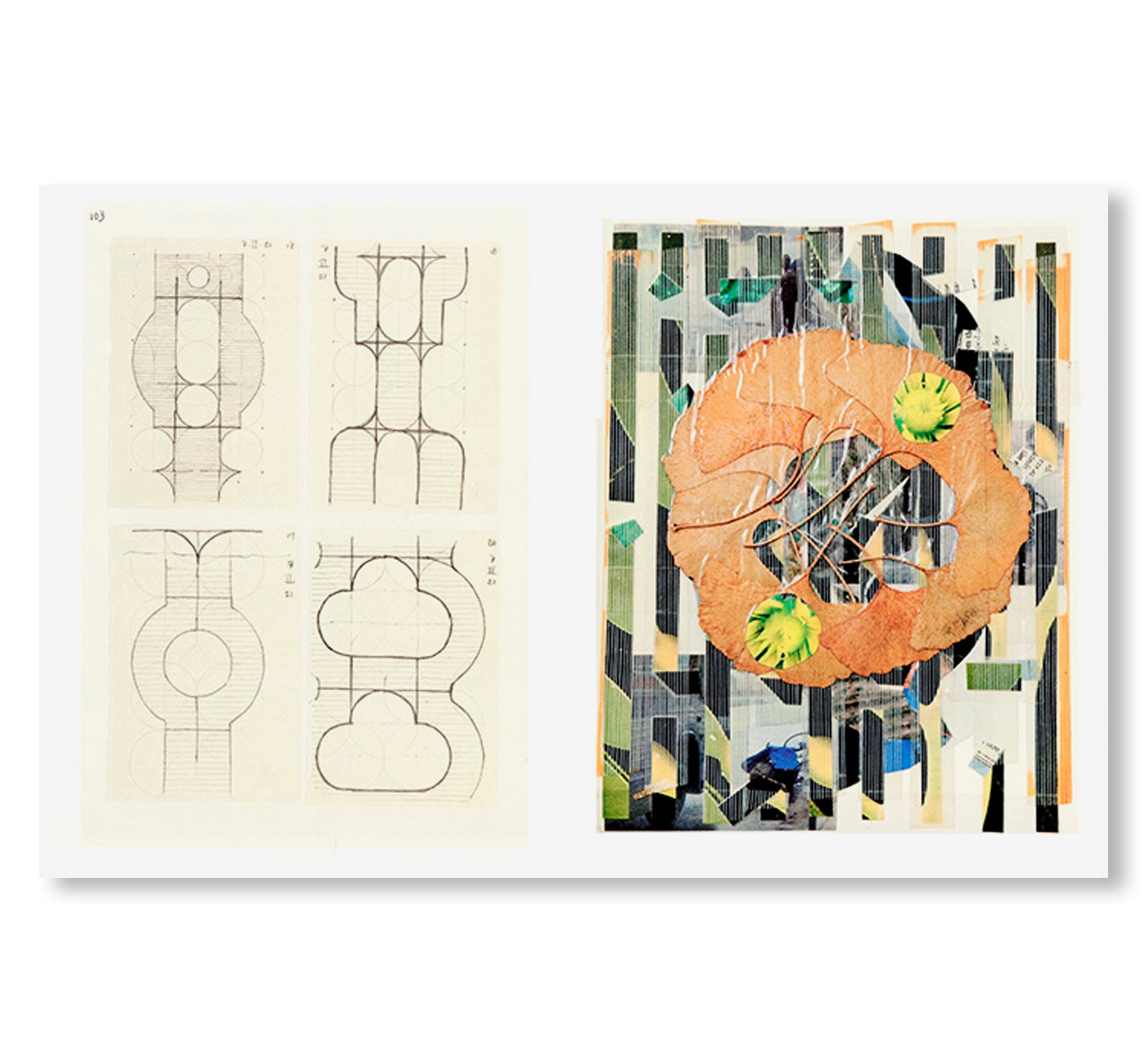 POLITÉCNICO NACIONAL by Gabriel Orozco