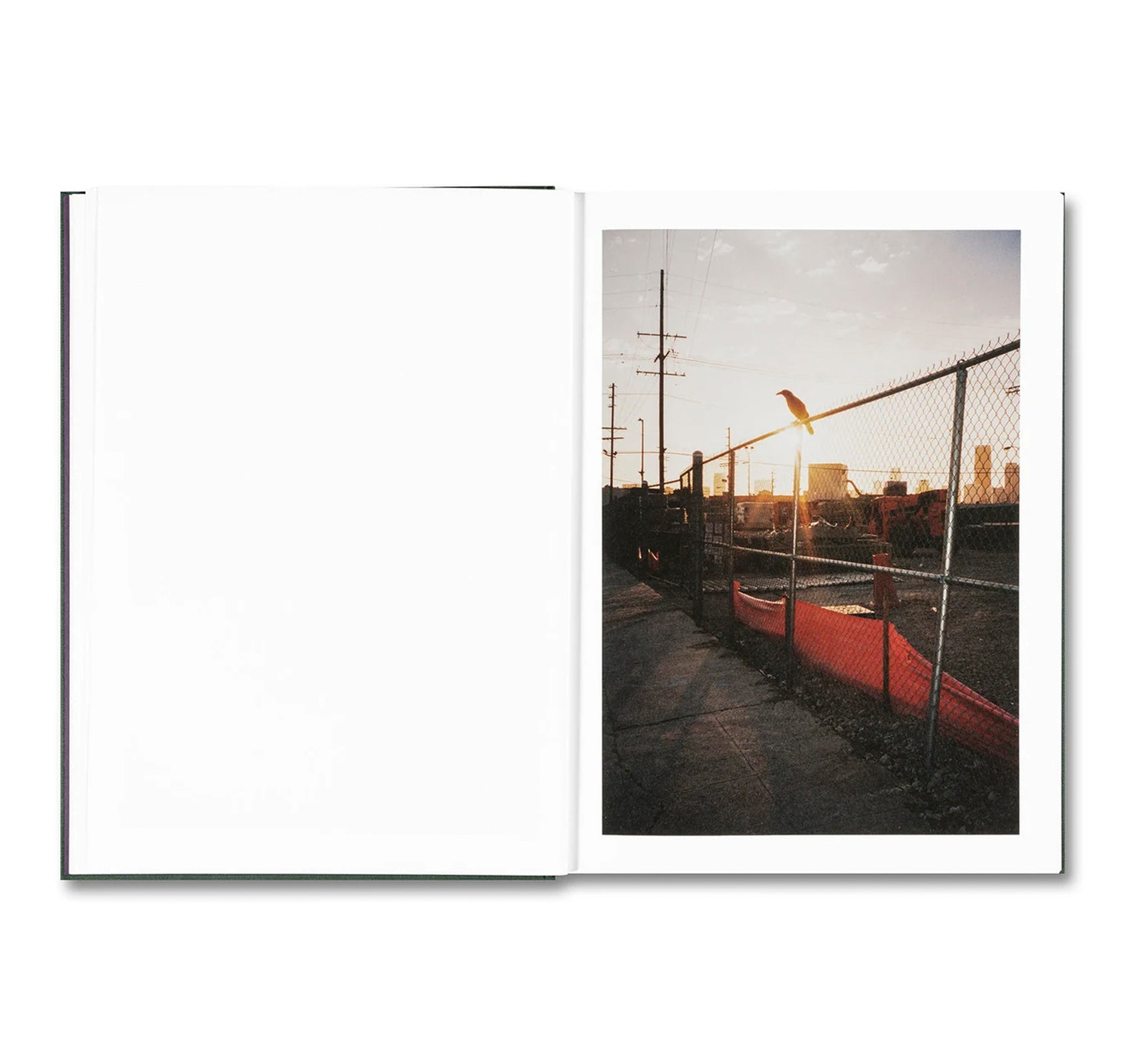 HOW ABOUT NEVER by Jerry Hsu [SIGNED]