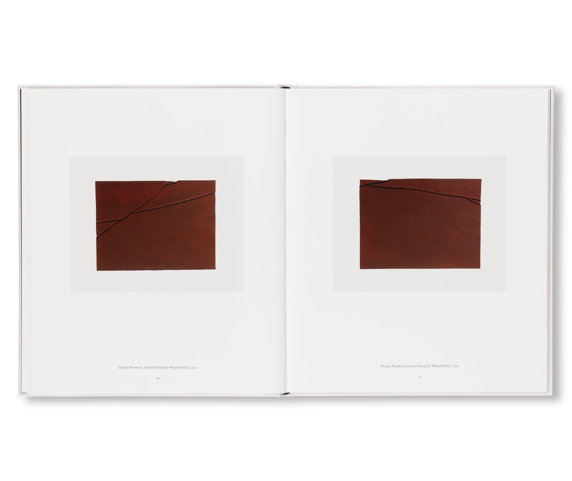 I HEAR THE ANCIENT MUSIC OF WORKS AND WORKS, YES, THAT’S IT. by Vincent Fecteau, Florian Pumhösl