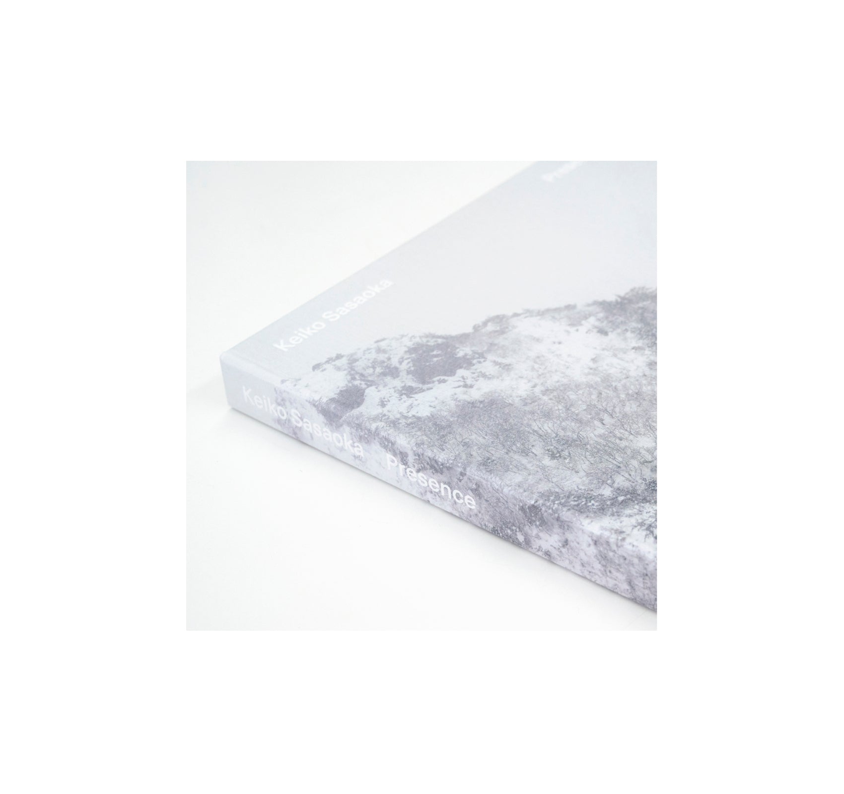 PRESENCE by Keiko Sasaoka