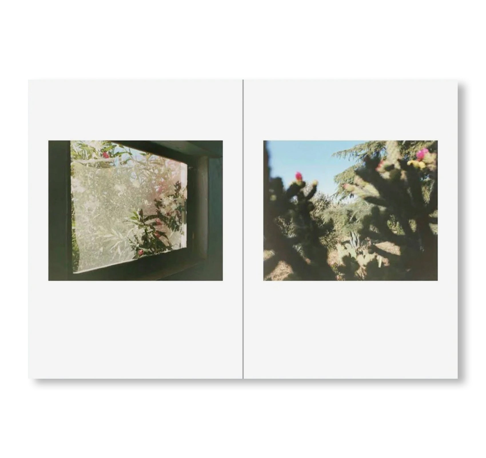 ONE PICTURE BOOK TWO #51: DESERT DAZE by Yoko Ikeda