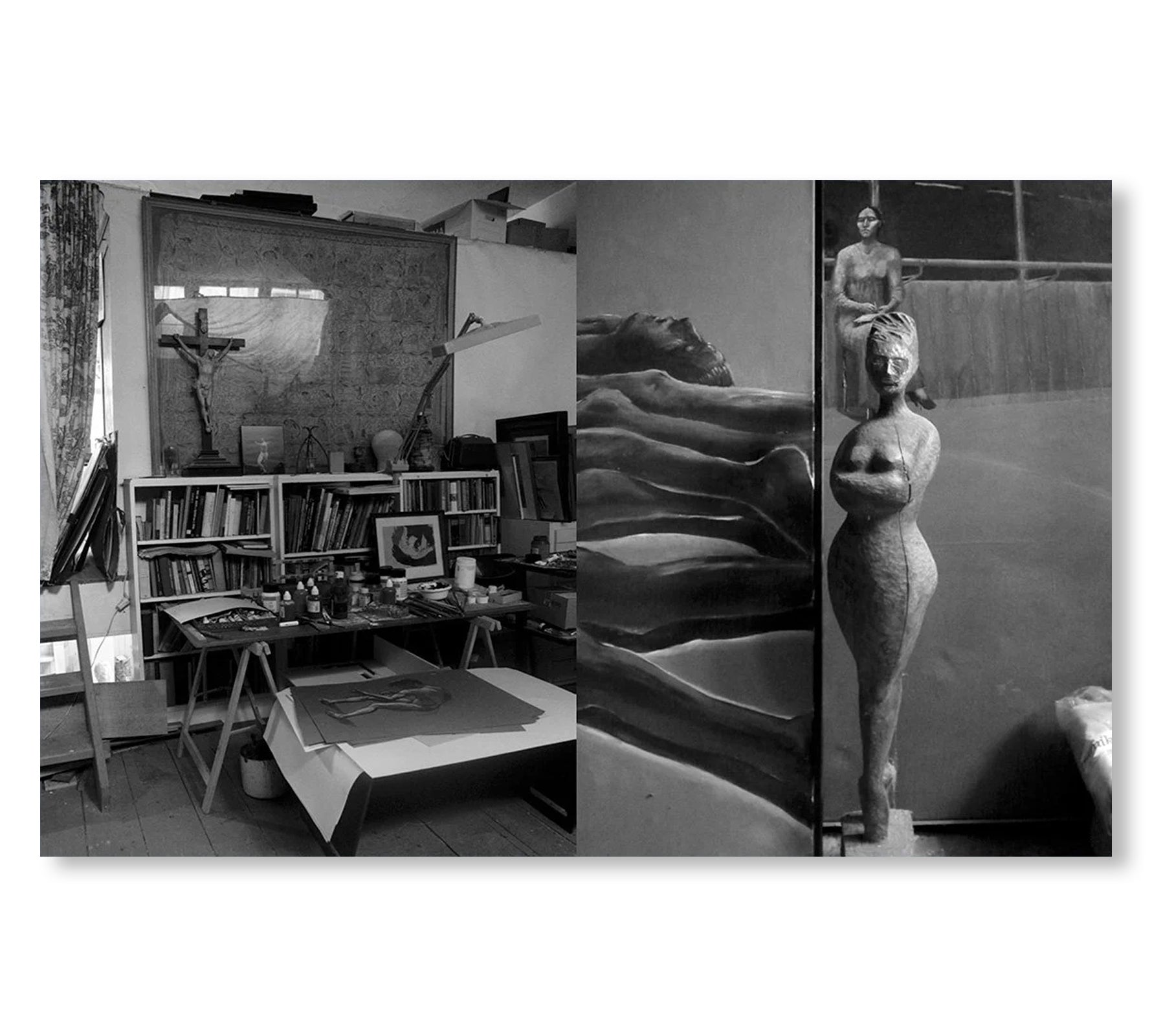 ONE PICTURE BOOK TWO #46: TOER by Susan A. Zadeh