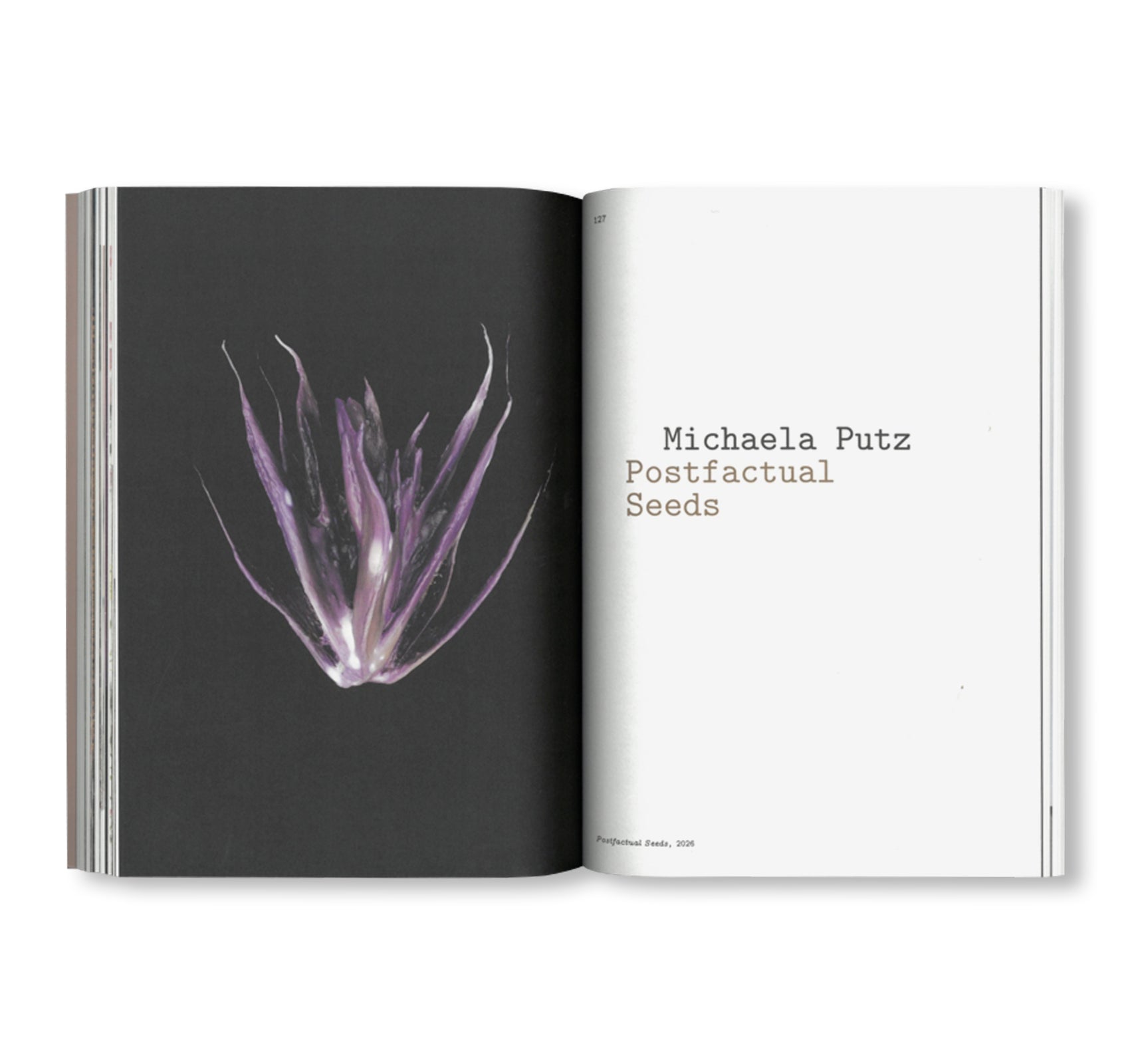 SEEDS - RECLAIMING ROOTS, SOWING FUTURES