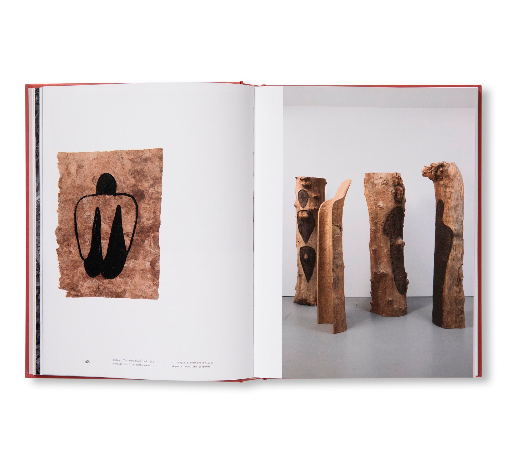 ANA MENDIETA by Ana Mendieta (TATE PUBLISHING)