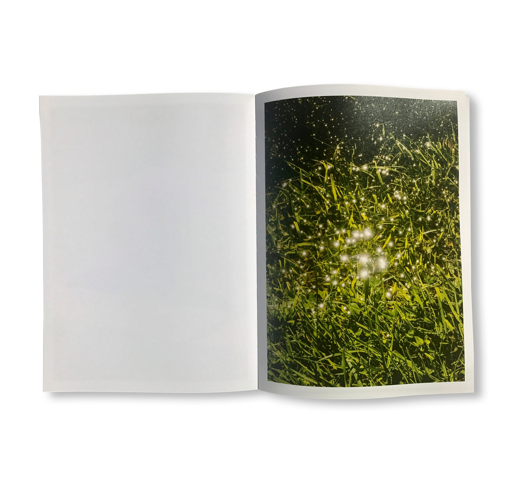 THE TRANSVERSE PATH (OR NATURE'S LITTLE SECRET) by Mike Slack