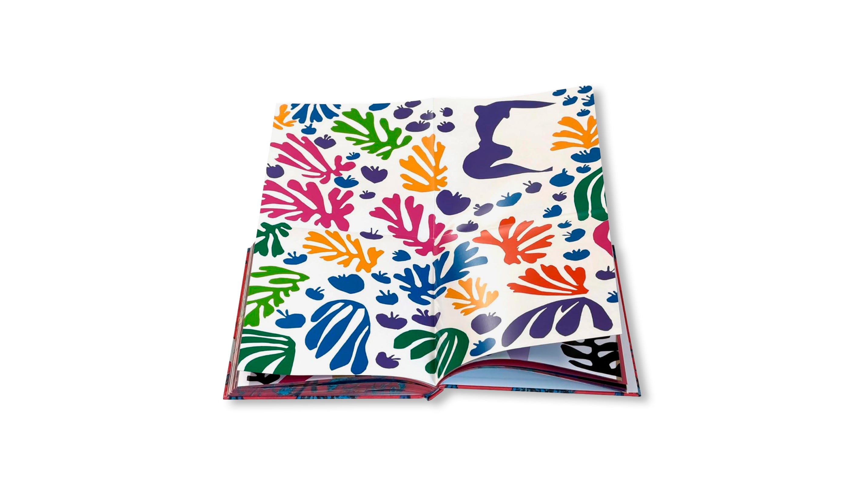 MATISSE - THE BIGGER PICTURE by Anne Sefrioui