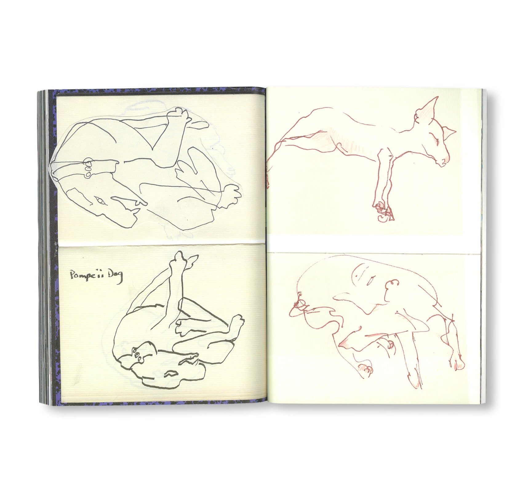 DOUBLE LUNAR RABBITS / 2匹の月のうさぎ by Joan Jonas