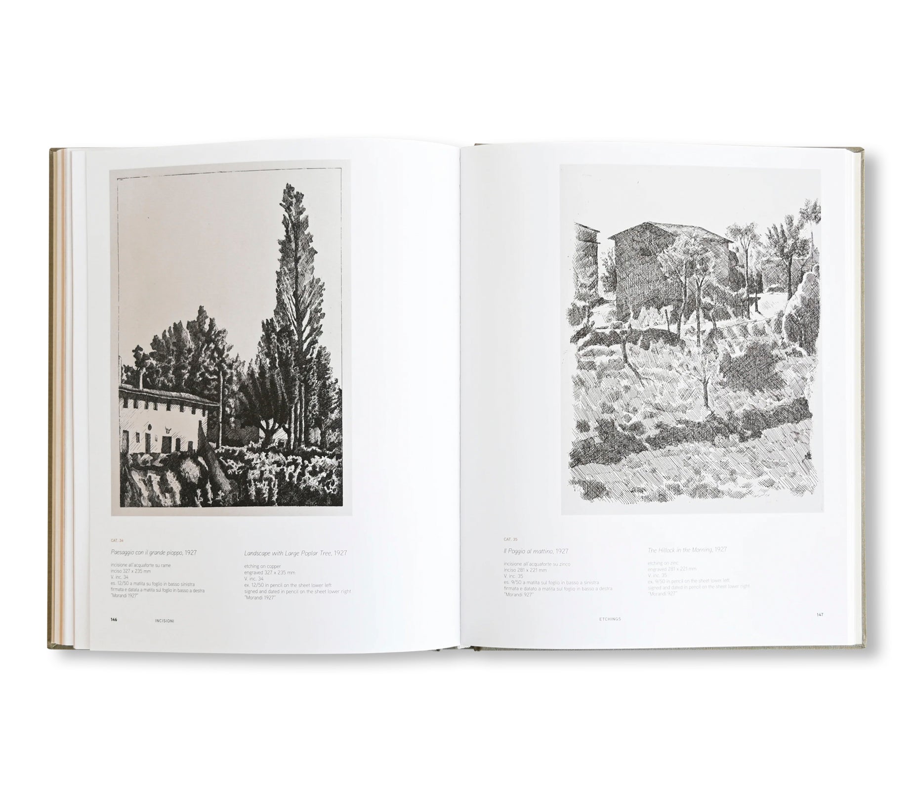 GIORGIO MORANDI: WORKS FROM THE ANTONIO AND MATILDE CATANESE COLLECTION by Giorgio Morandi