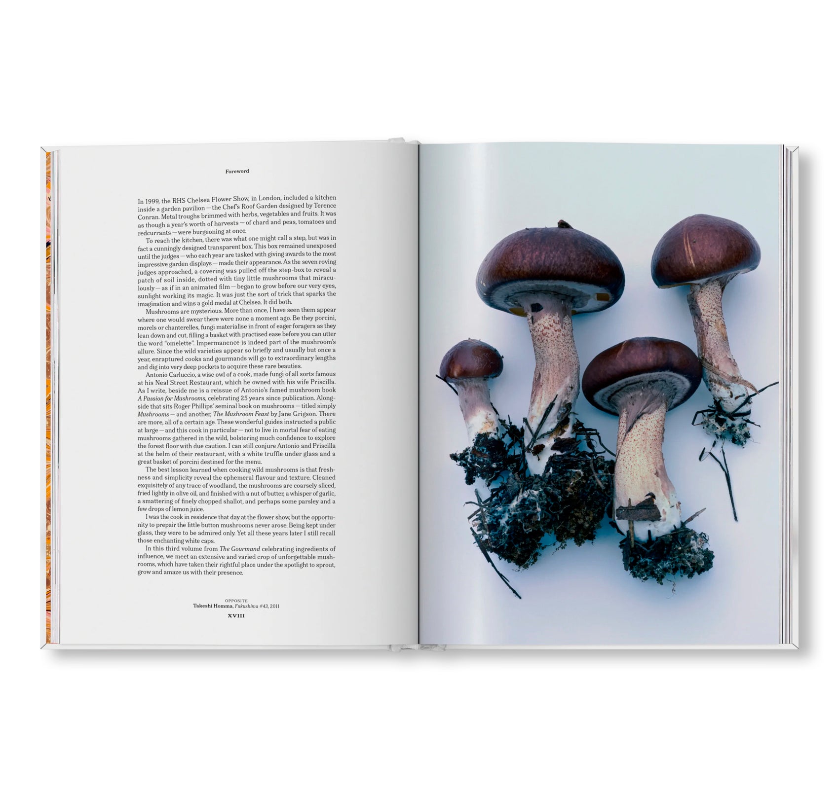 THE GOURMAND'S MUSHROOM. A COLLECTION OF STORIES AND RECIPES by The Gourmand