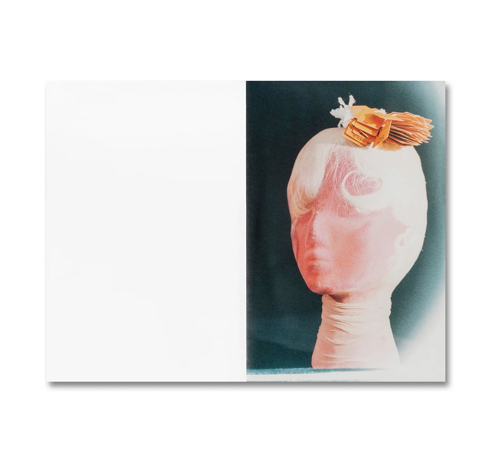 POSITIONS by K8 Hardy [SIGNED]