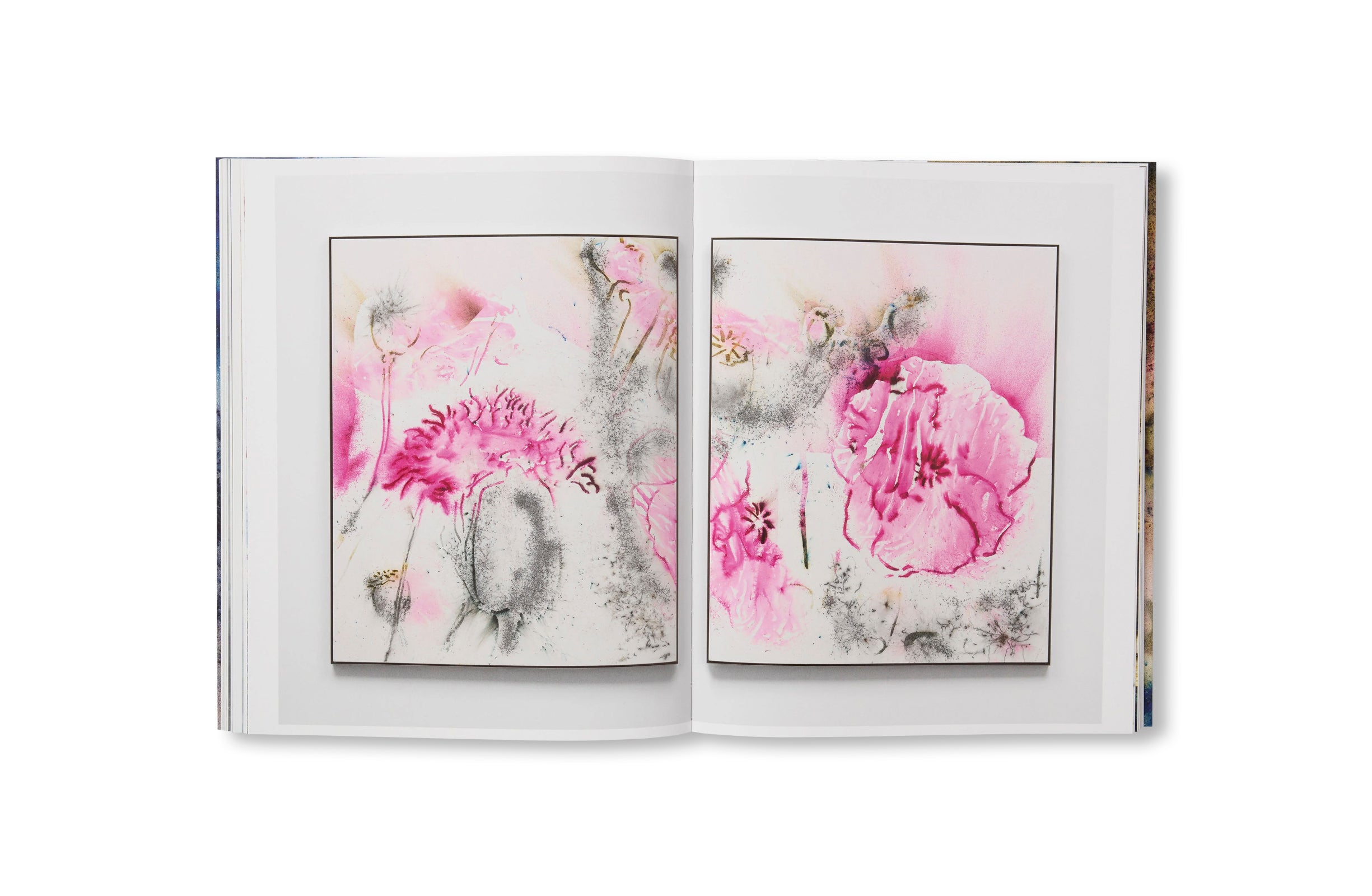 GUNPOWDER AND ABSTRACTION 2015-2025 by Cai Guo-Qiang