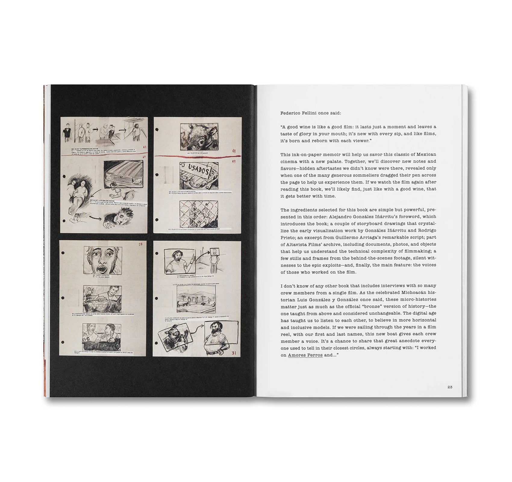 UNLEASHING AMORES PERROS by Fernando Llanos [ENGLISH EDITION]