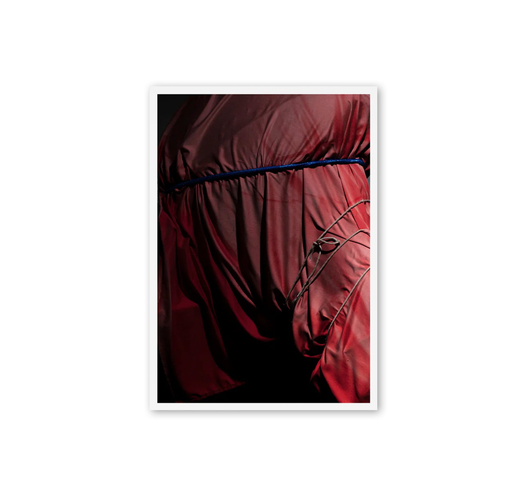 MOTORS by Louis De Belle [COLLECTORS EDITION / SIGNED / NUMBERED]