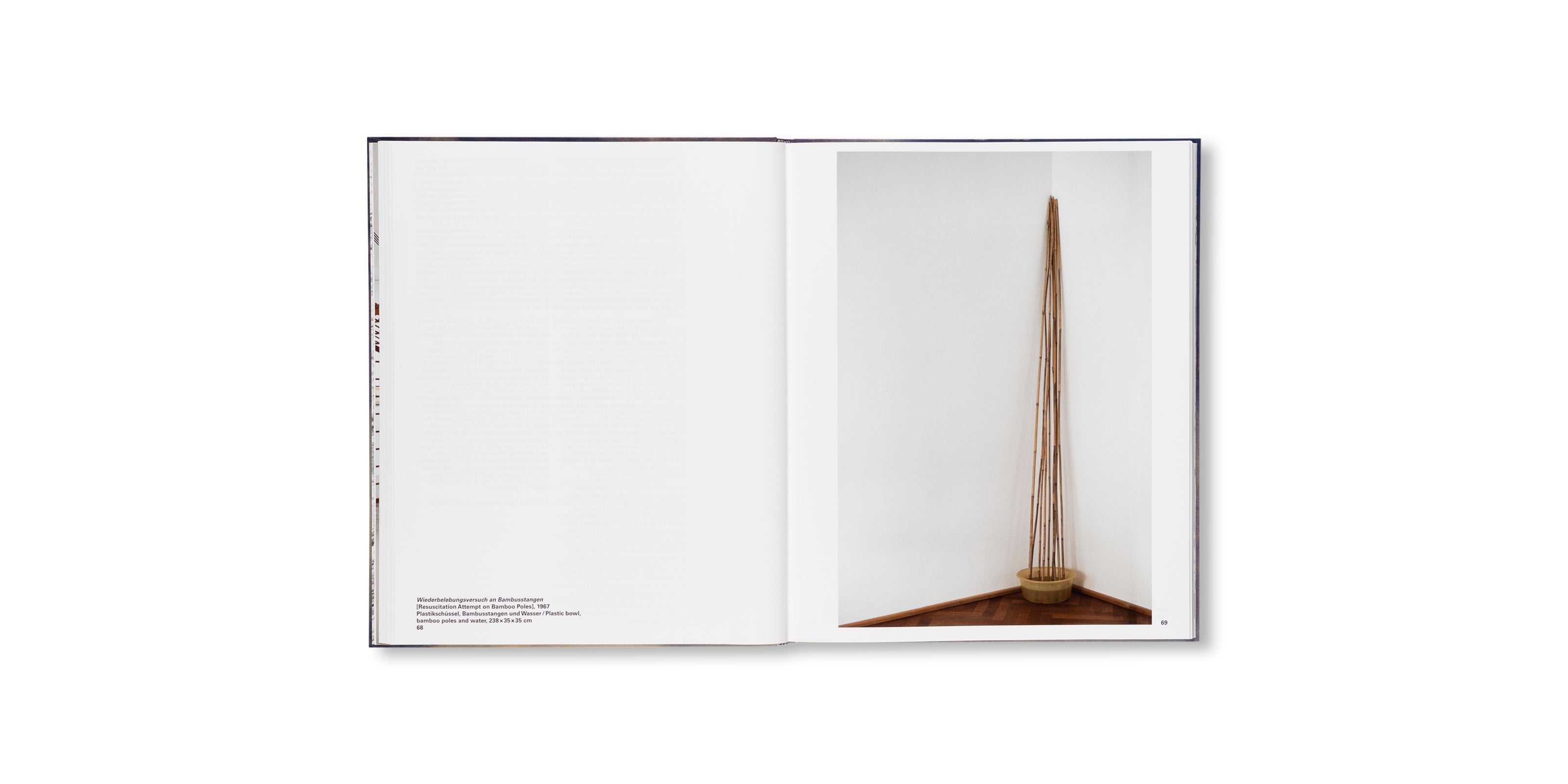 UNTER DEM PFLASTER LIEGT DIE ERDE / BENEATH THE COBBLESTONES, THE EARTH by Sigmar Polke
