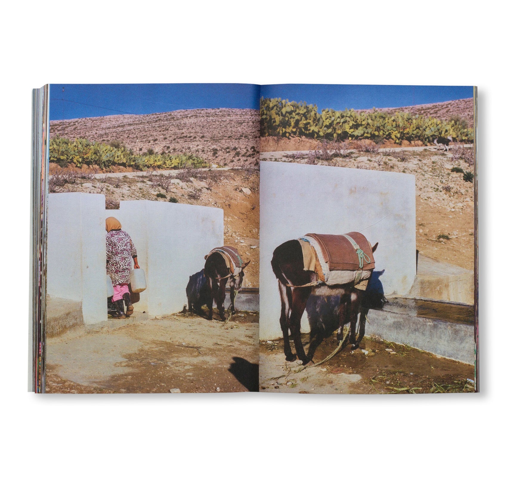 AISHA by Yumna Al-Arashi [SECOND EDITION]