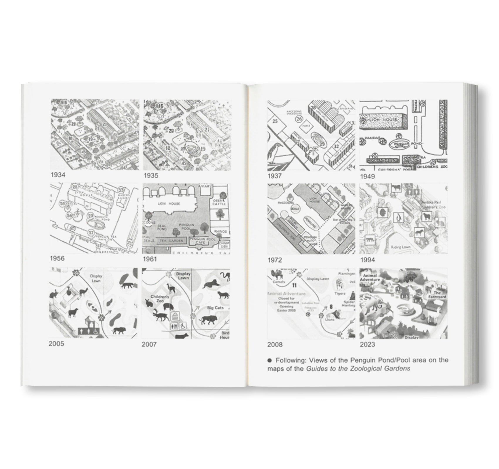 NOT A PENGUIN POOL: ECHOES OF MORE-THAN-HUMAN ENTANGLEMENTS / Bauhaus Paperback 28 by Stiftung Bauhaus Dessau