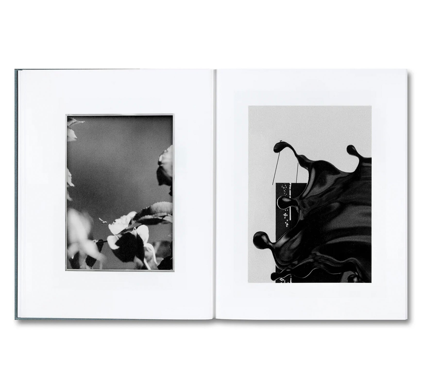 DISTRIBUTION by Daniel Shea [SIGNED]