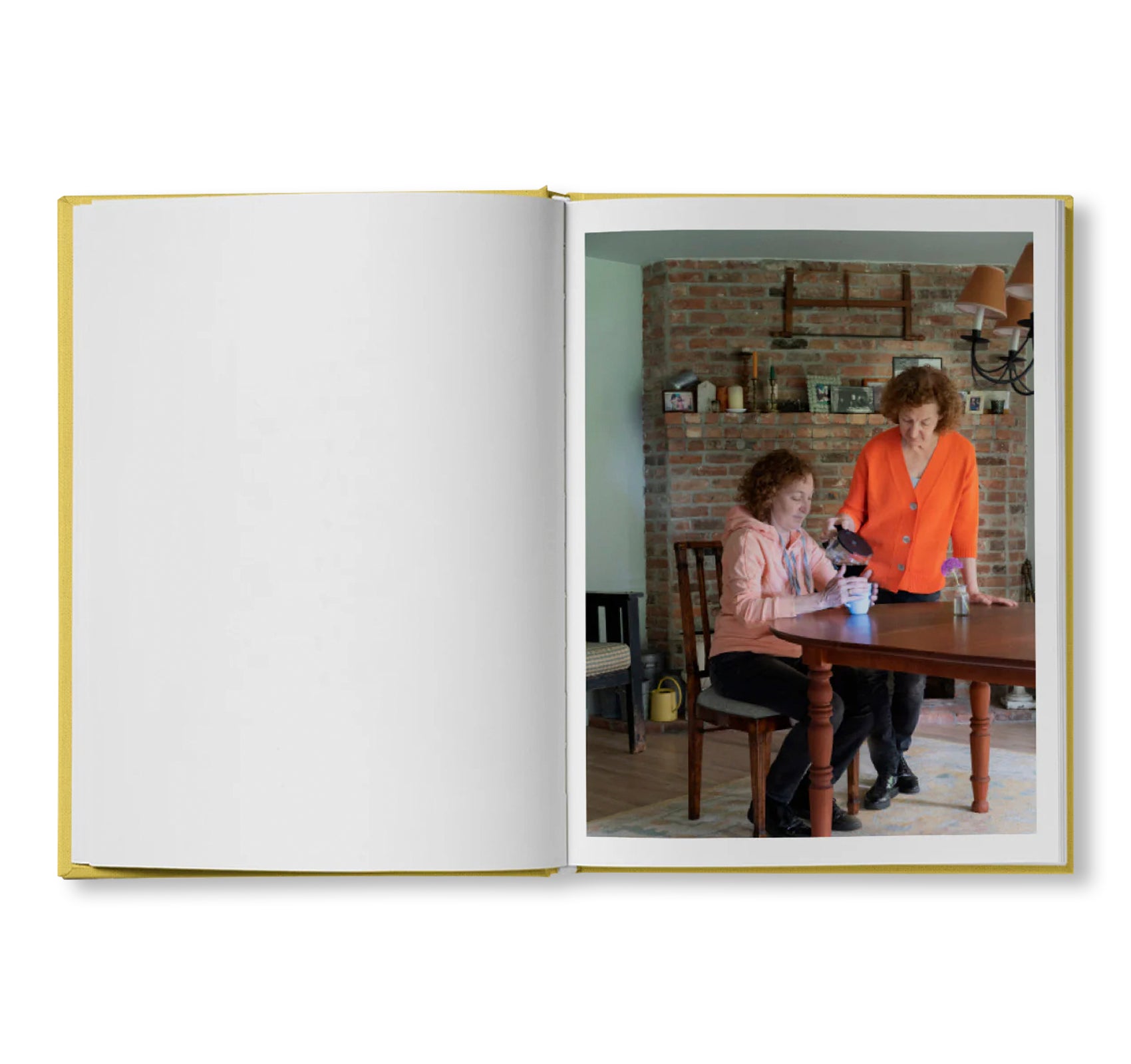 IRREVERSIBLE ORDER by Lisa Donneson