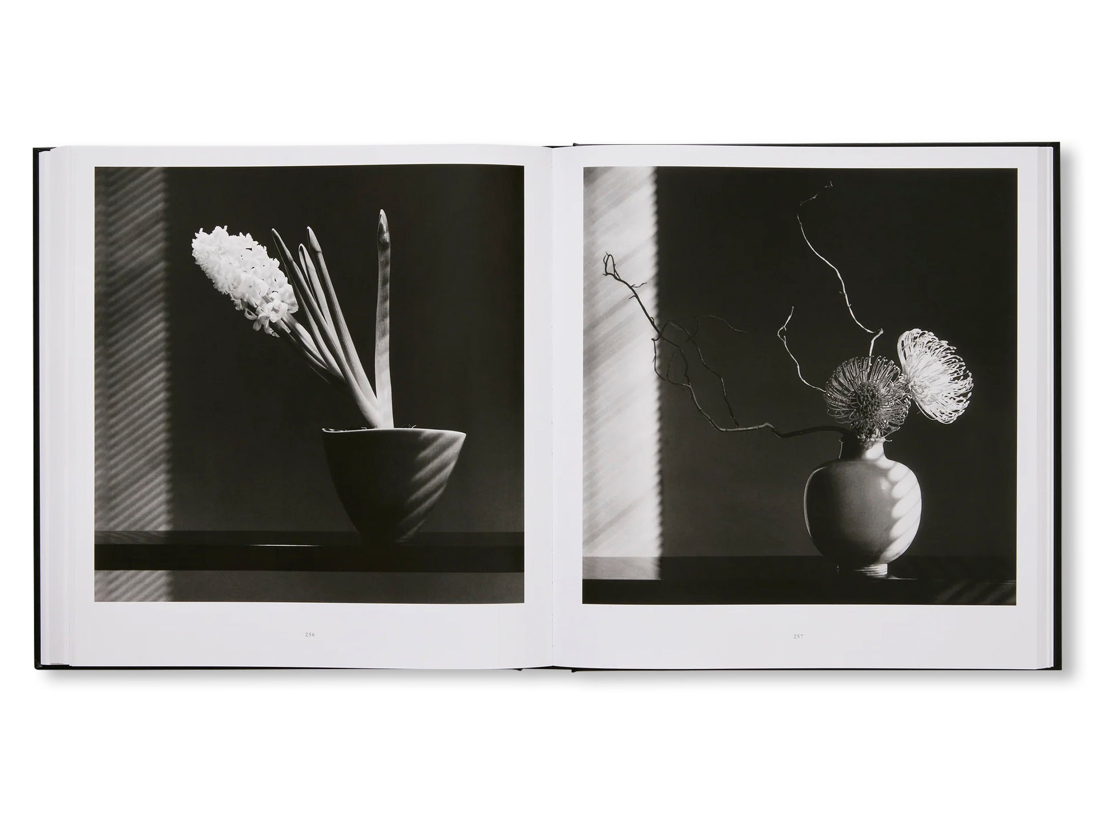 MAPPLETHORPE FLORA: THE COMPLETE FLOWERS by Robert Mapplethorpe [NEW EDITION]