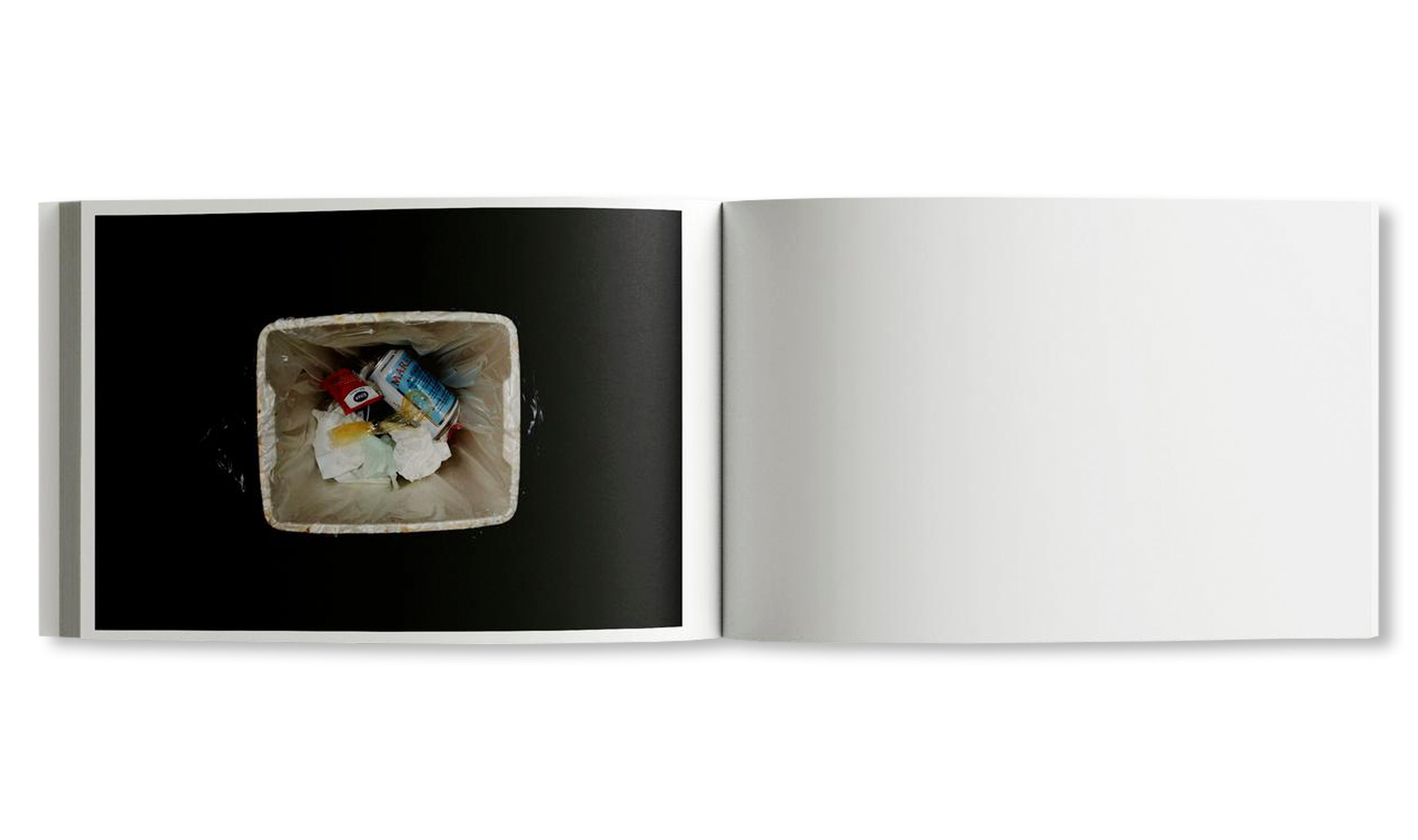 PORTRAIT OF A CITY by Dean Sameshima
