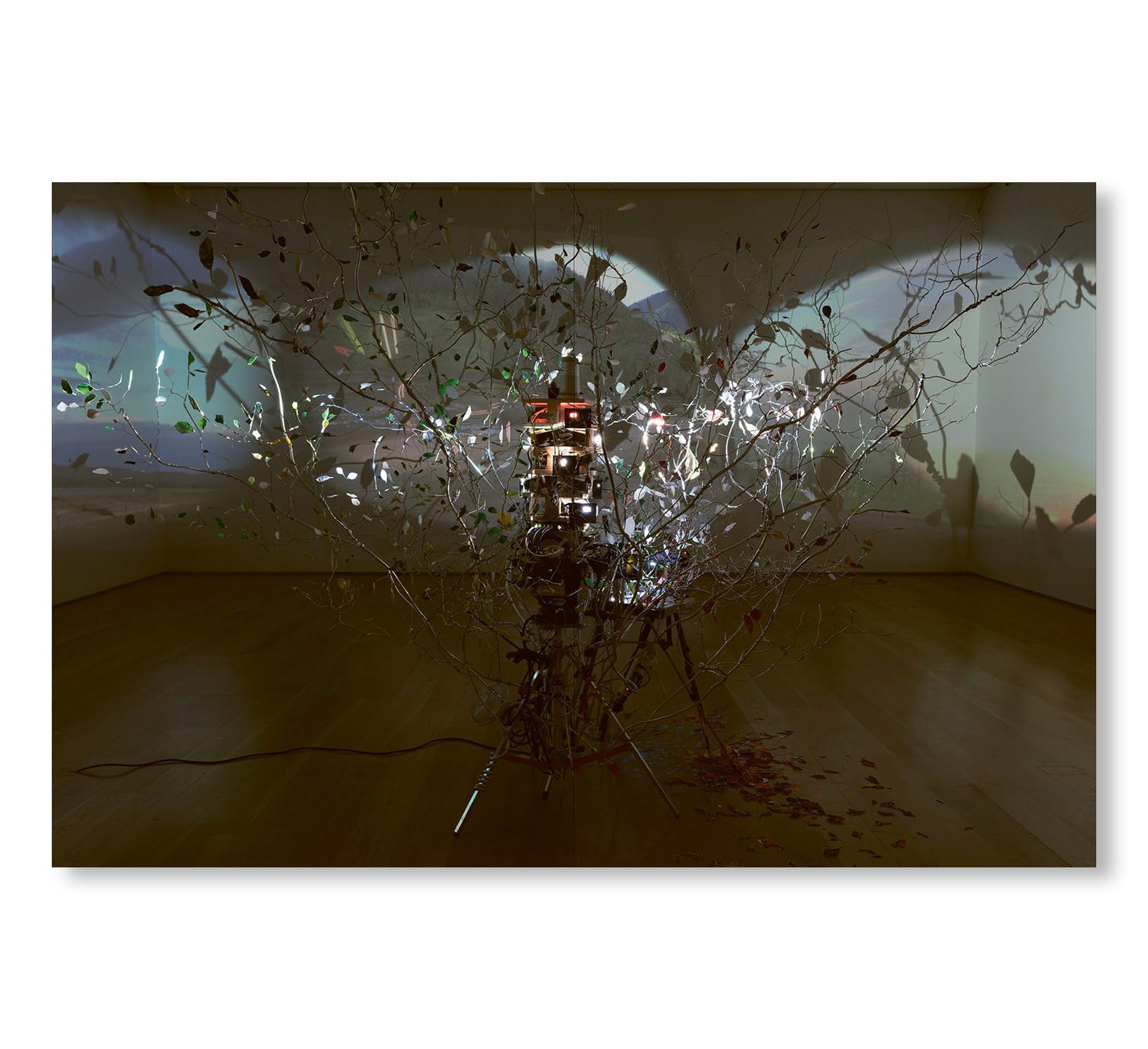 SARAH SZE by Sarah Sze