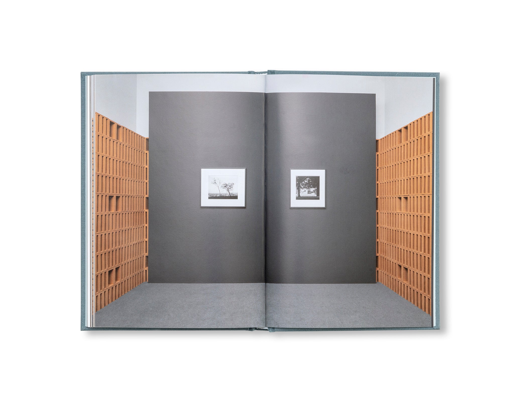 MUT 10 | COMPOSITIONS OF EARTH by Robert Adams