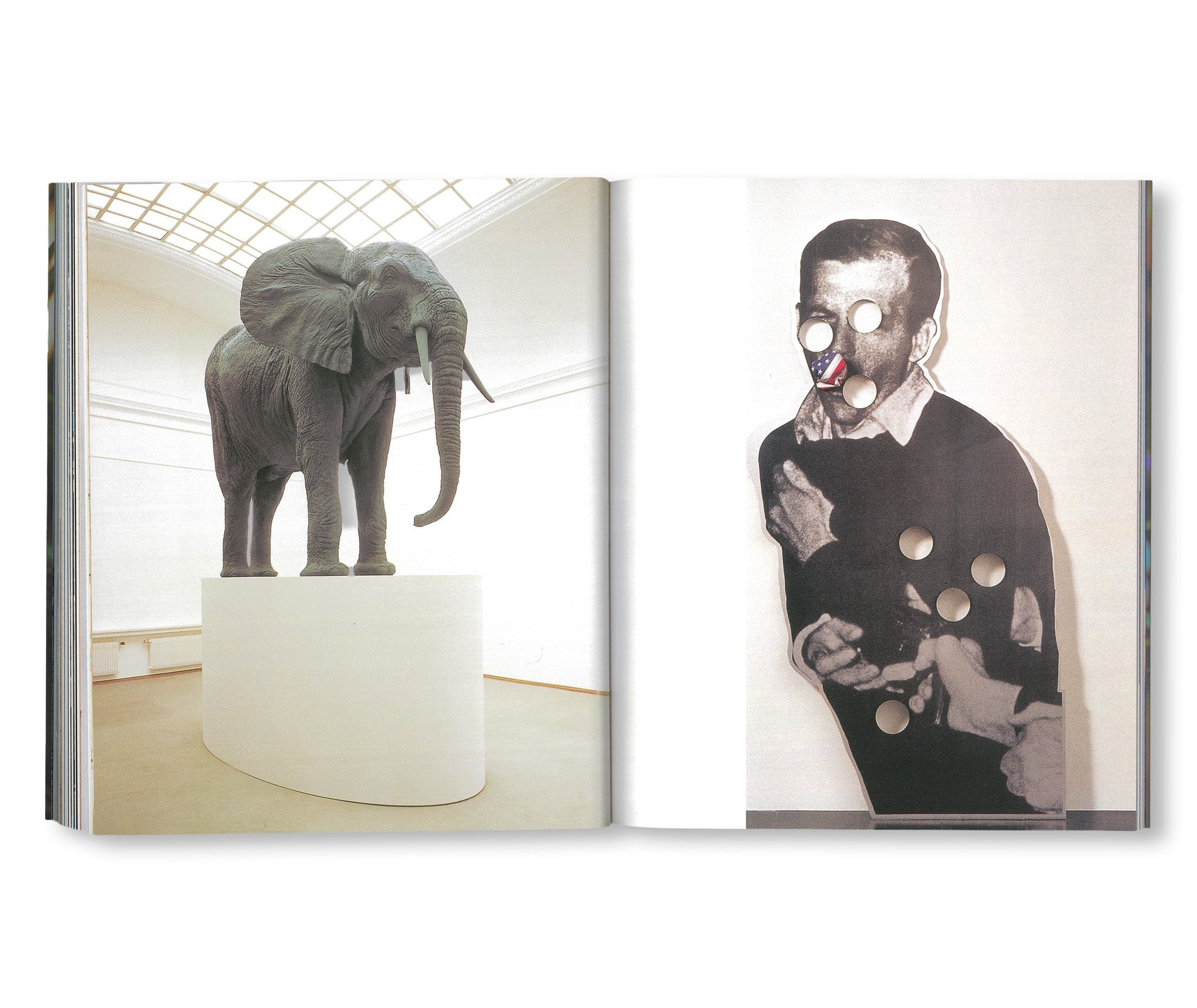 LUPETTO, PILOT ISSUE by Maurizio Cattelan