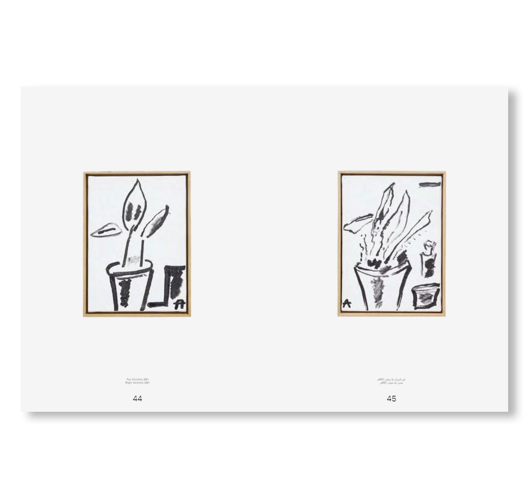 ETEL ADNAN by Etel Adnan (HATJE CANTZ)