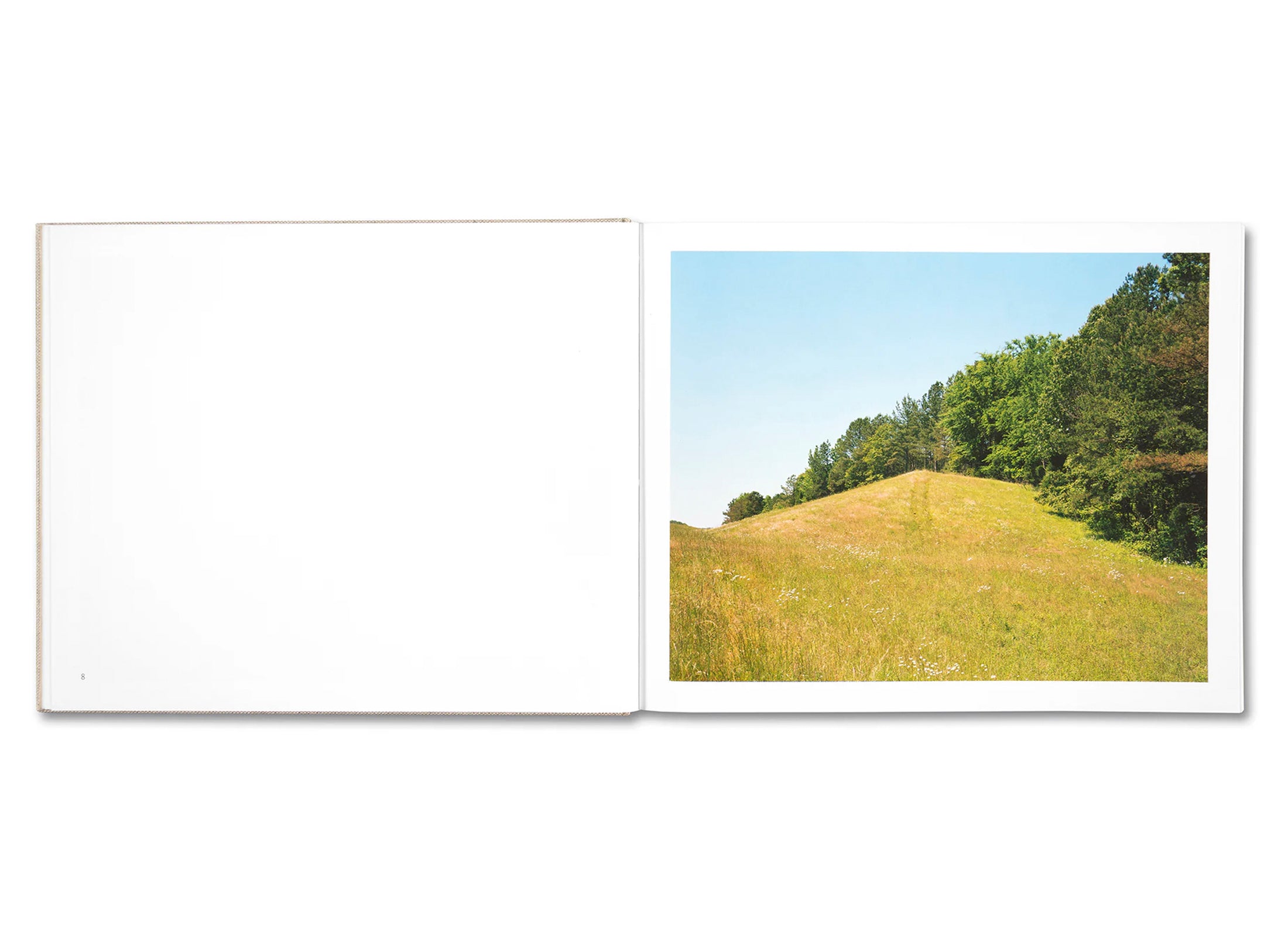 A POUND OF PICTURES by Alec Soth