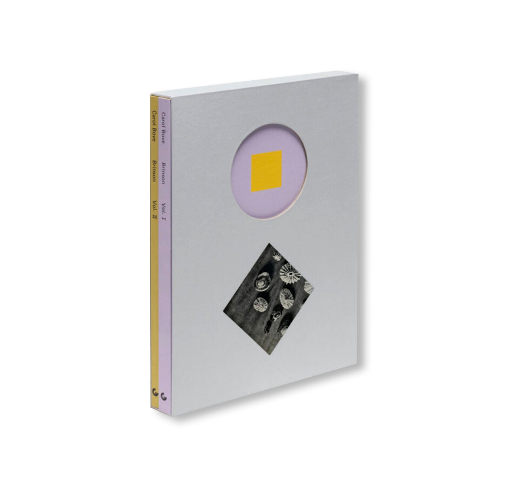 CAROL BOVE by Carol Bove (GUGGENHEIM MUSEUM)
