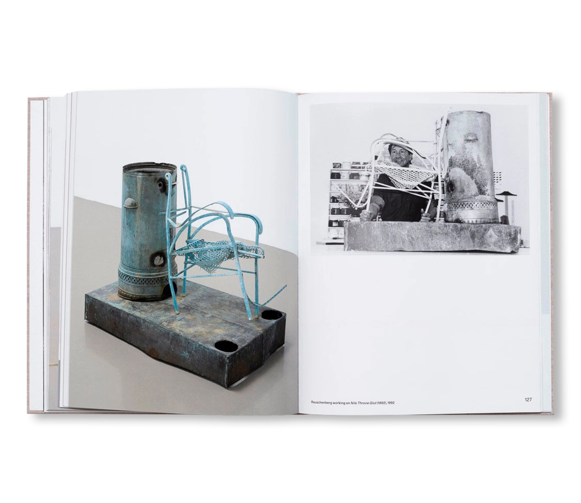 SYMPATHY FOR ABANDONED OBJECTS by Robert Rauschenberg